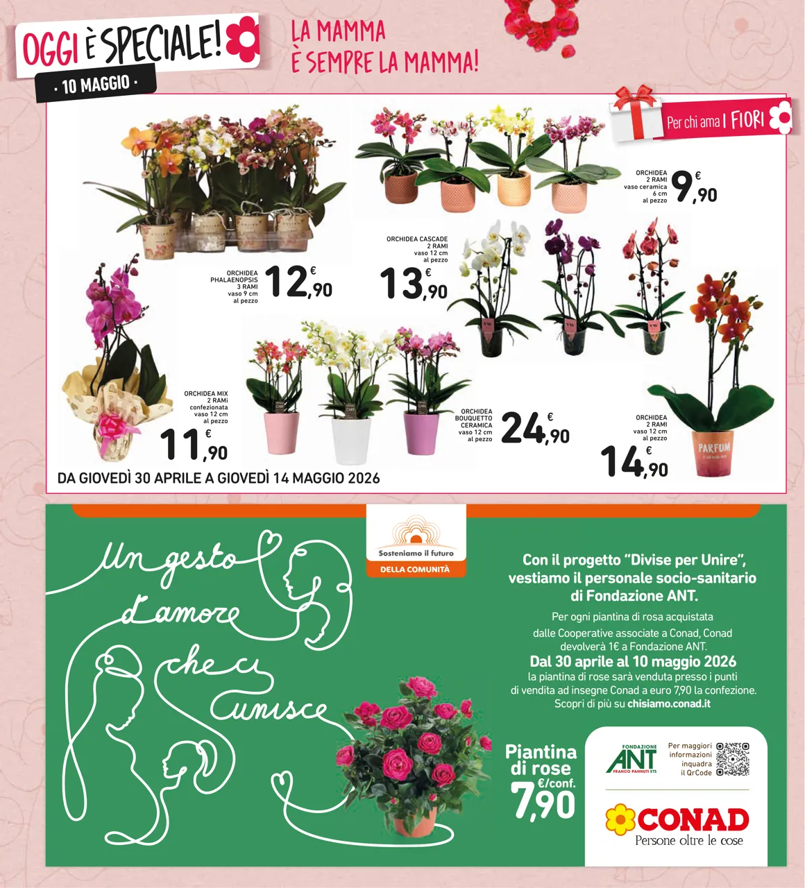 Pagina 6