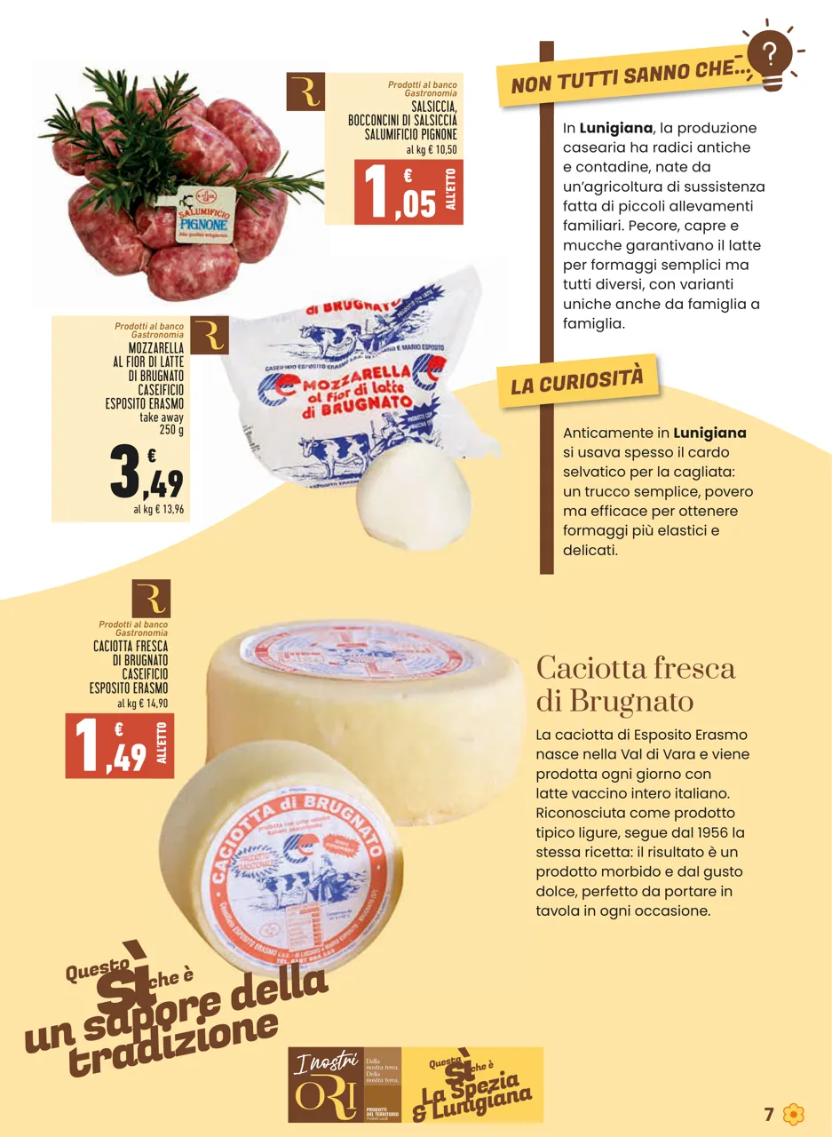 Pagina 7