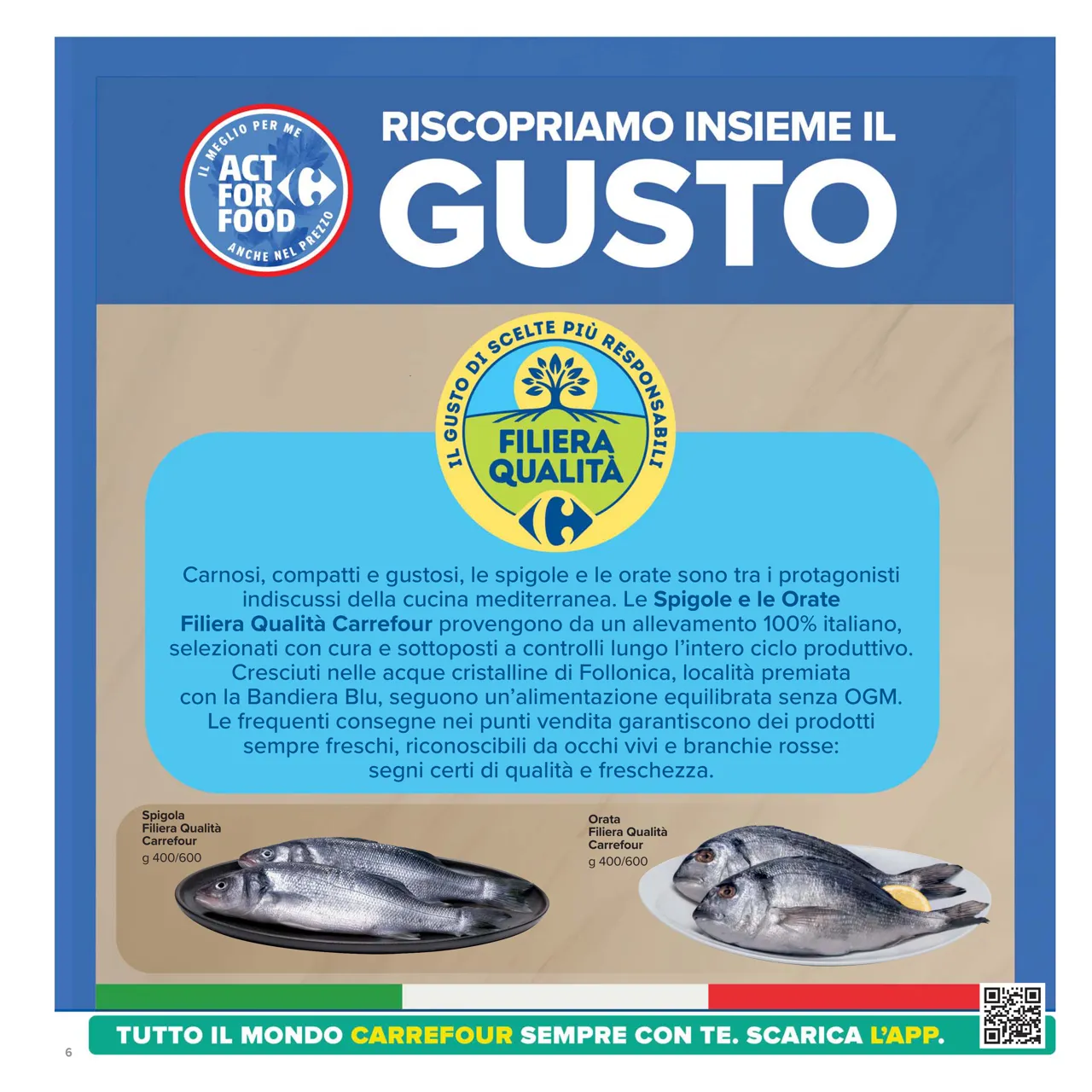 Pagina 6