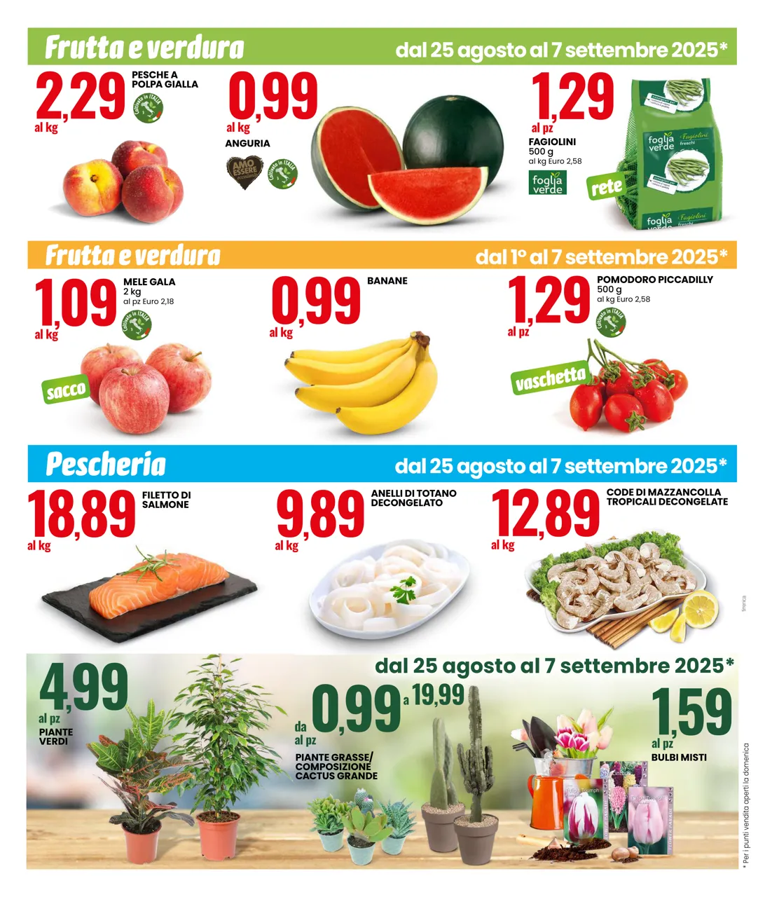 Pagina 12