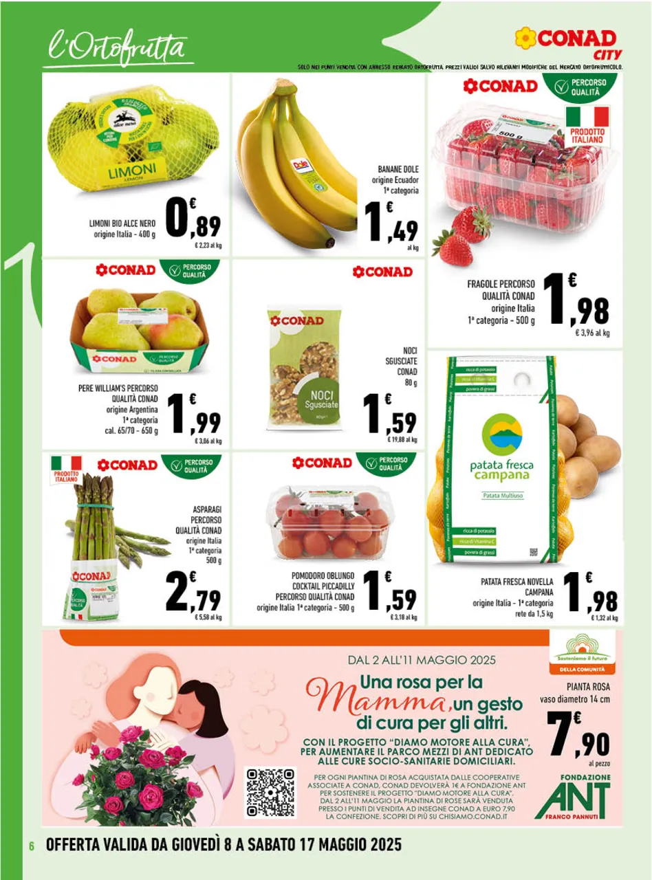 Pagina 6