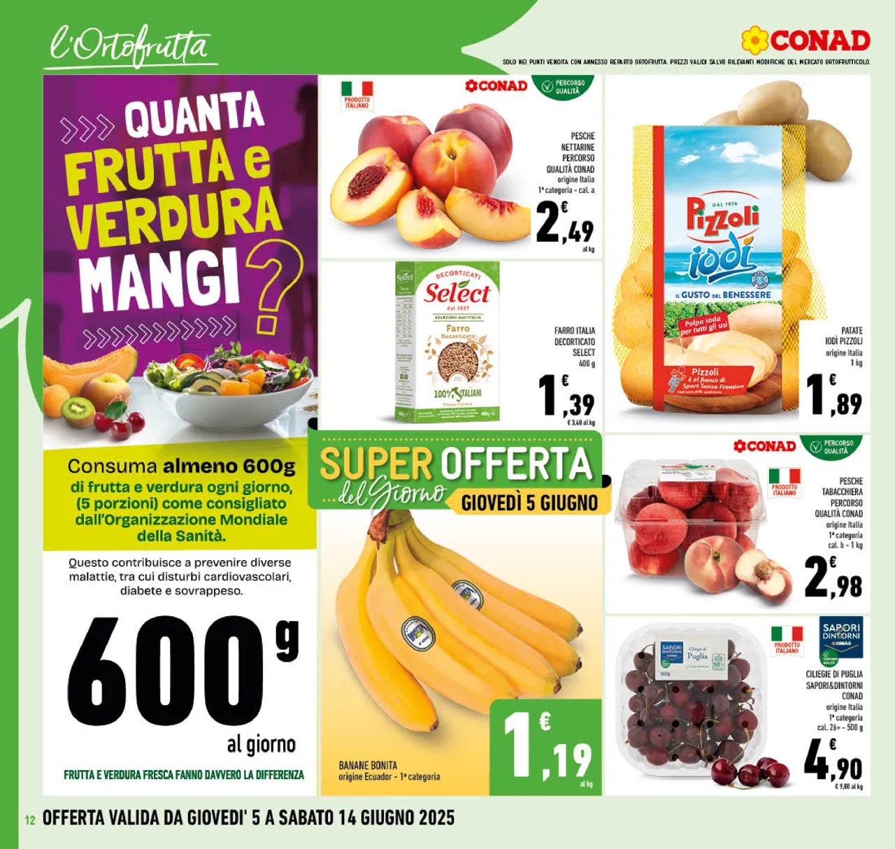 Pagina 12