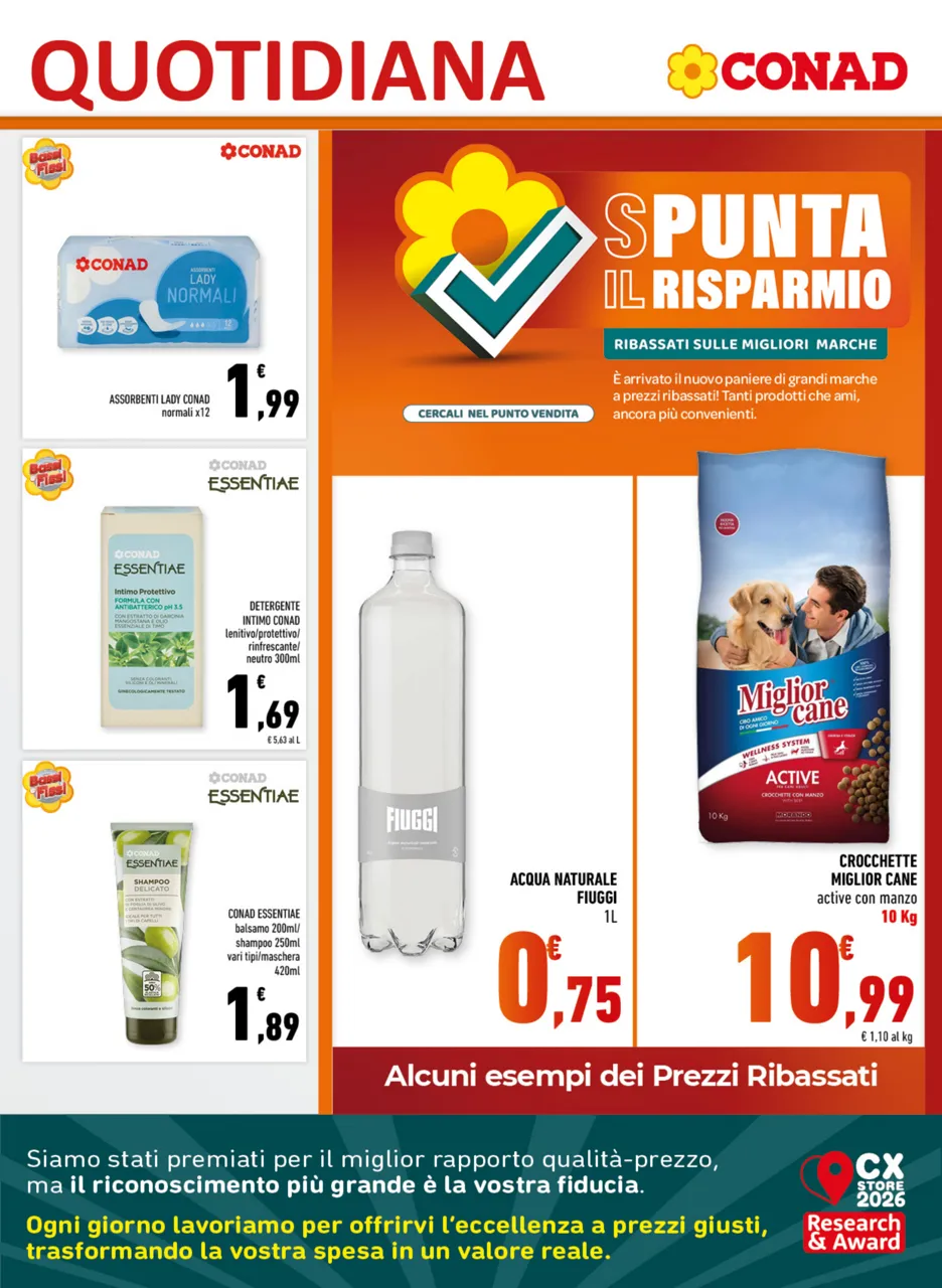 Pagina 7