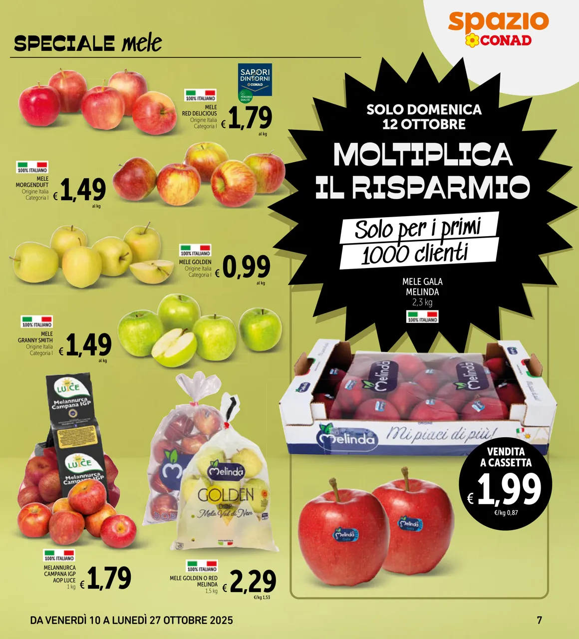 Pagina 7