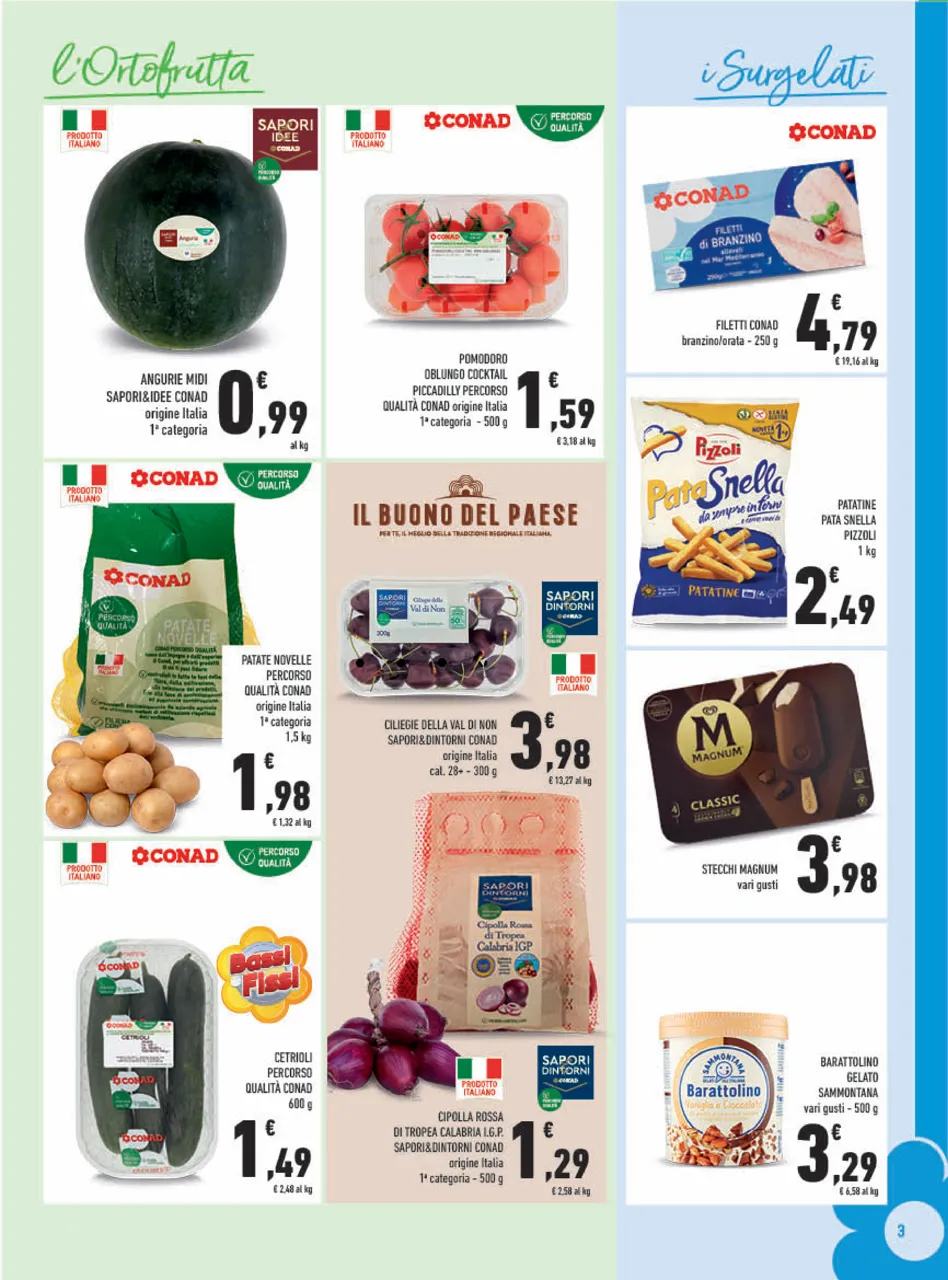 Pagina 3