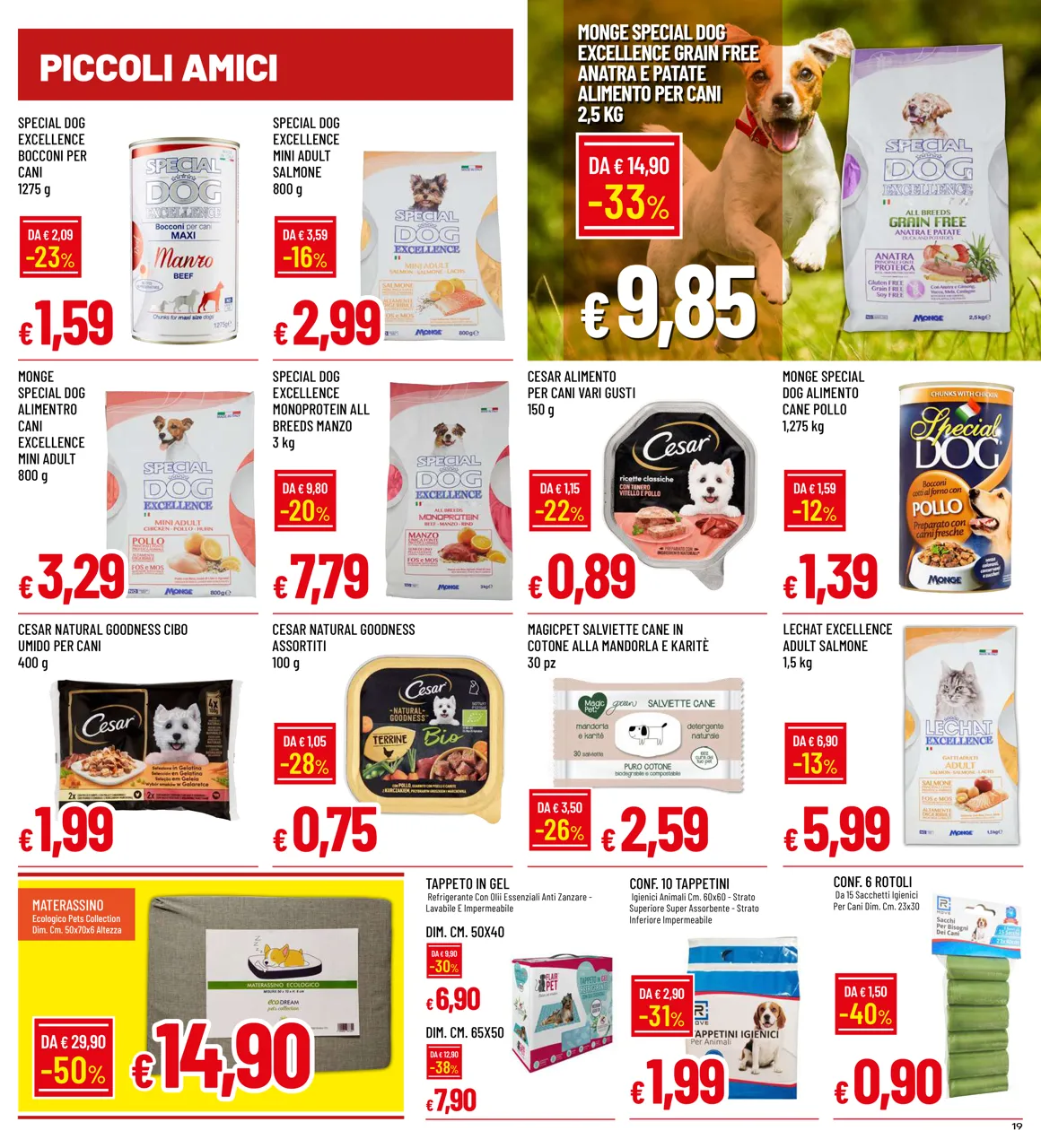 Pagina 19
