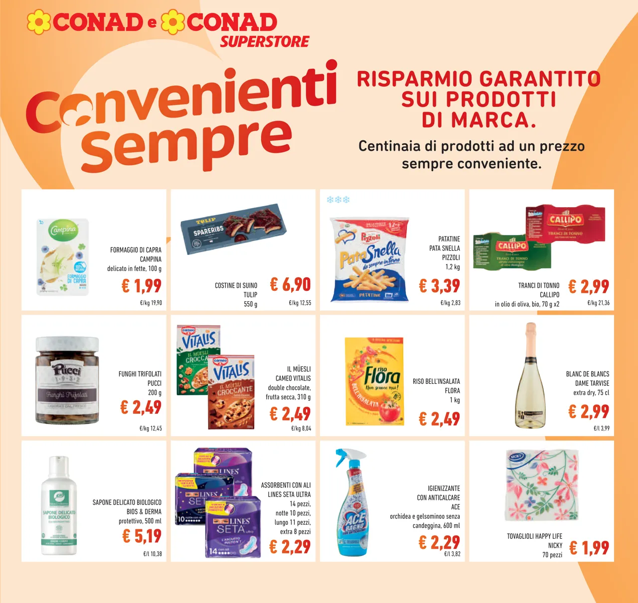 Pagina 19