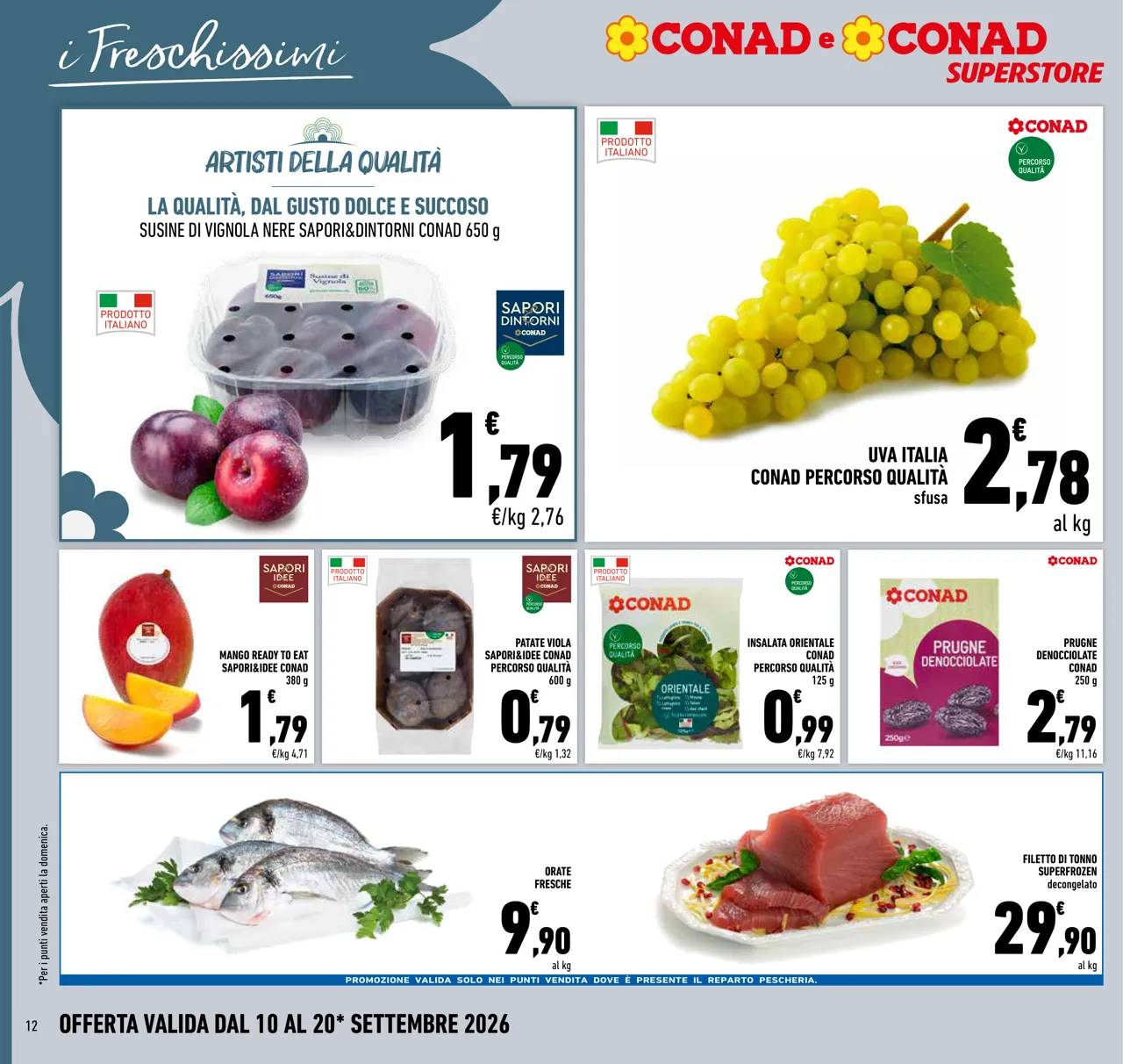 Pagina 12