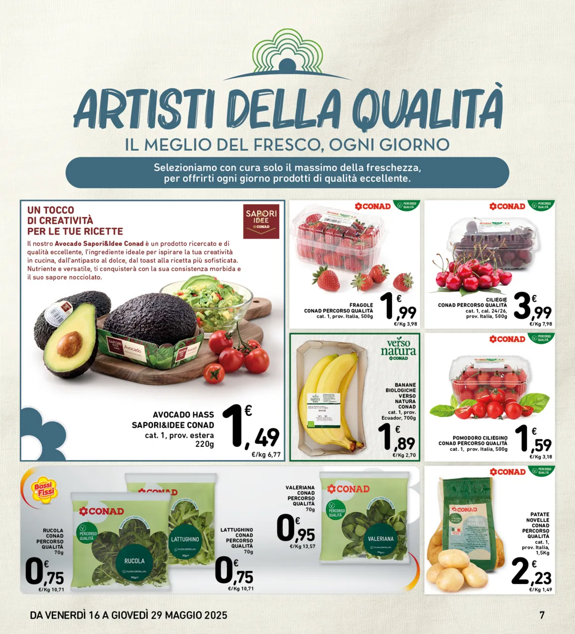 Pagina 7