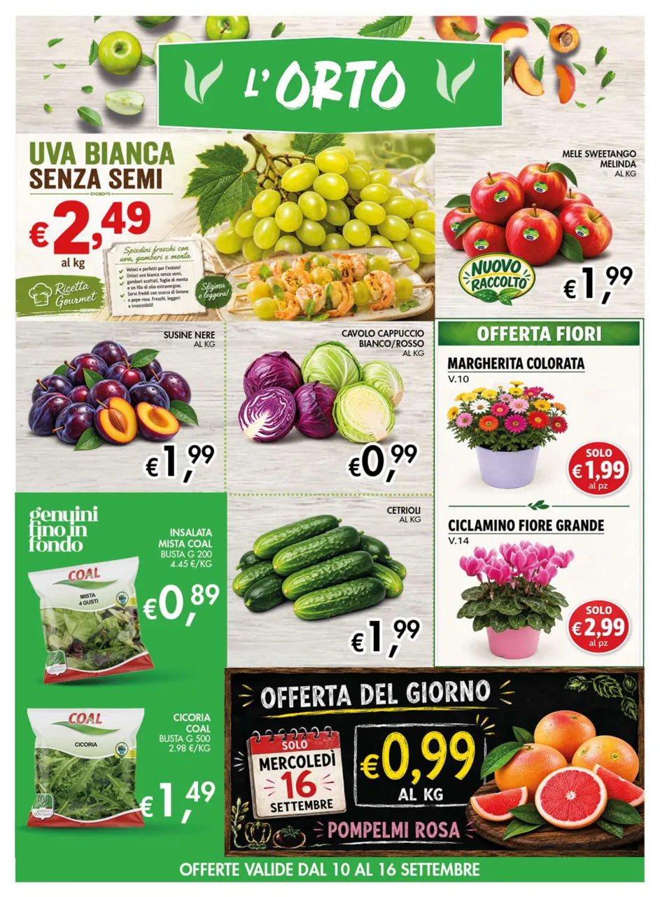 Pagina 6