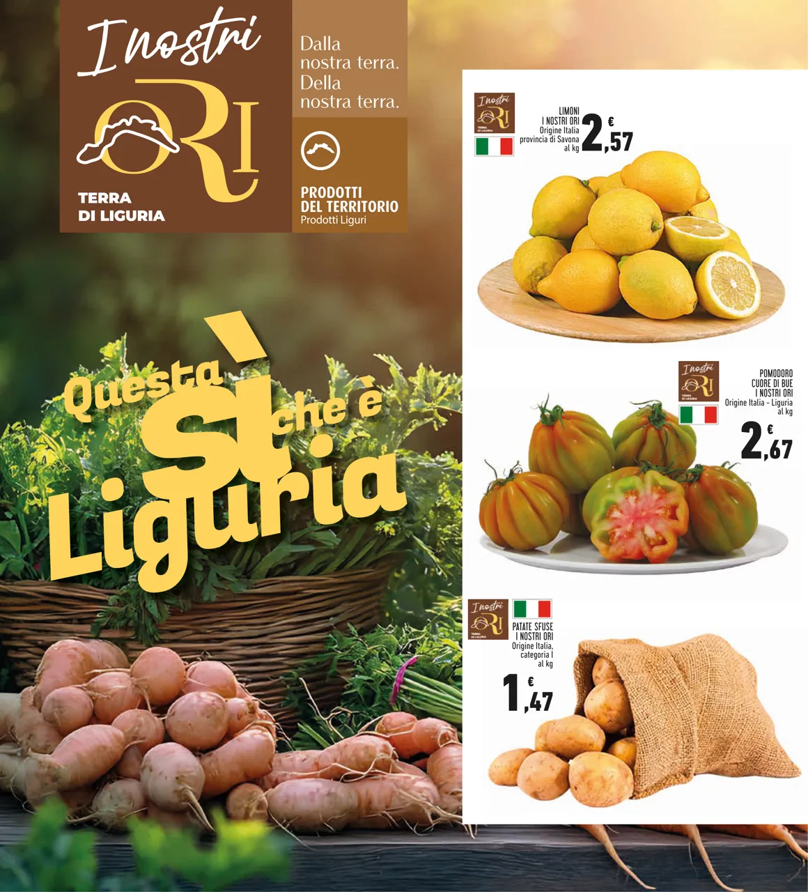Pagina 6