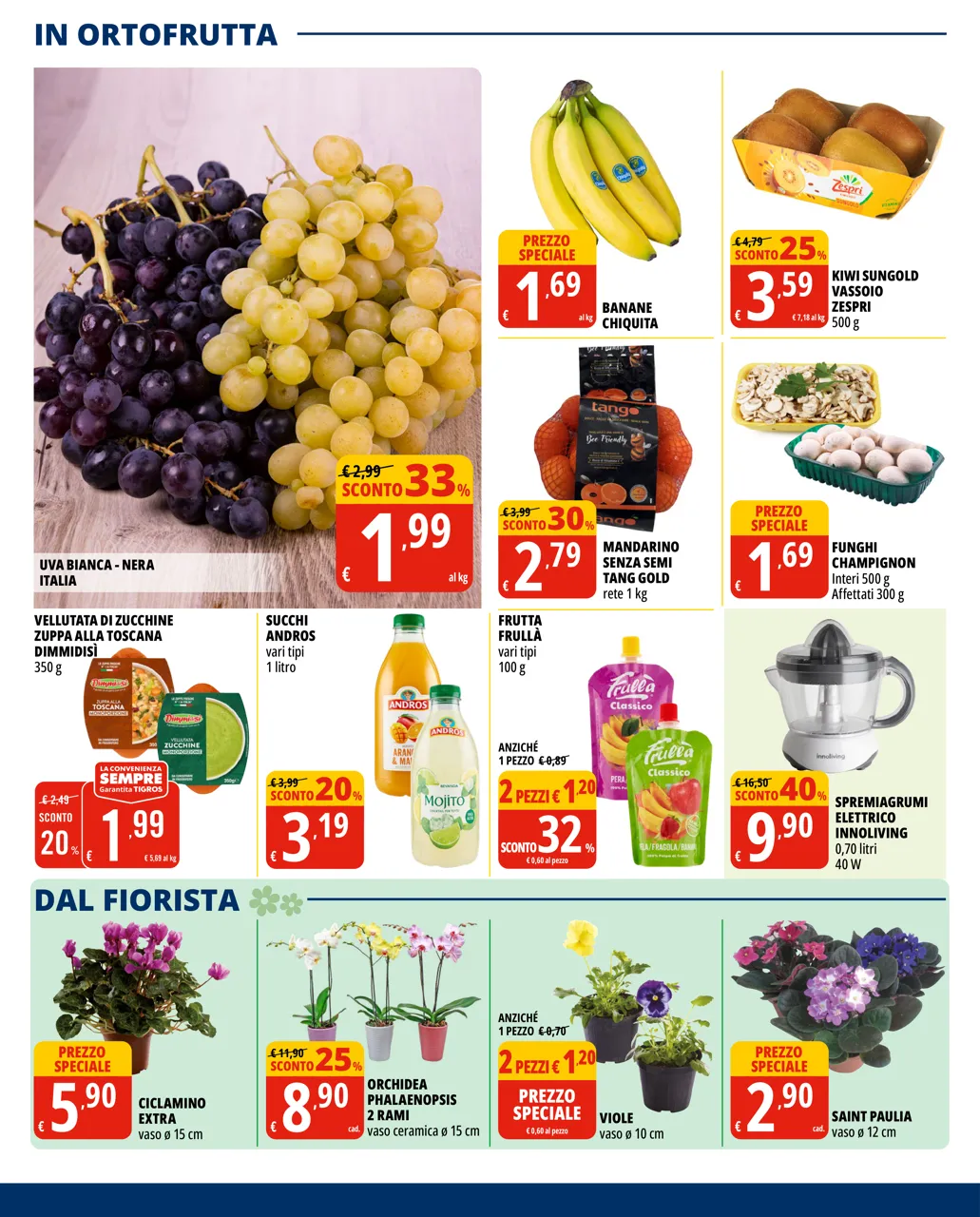Pagina 6