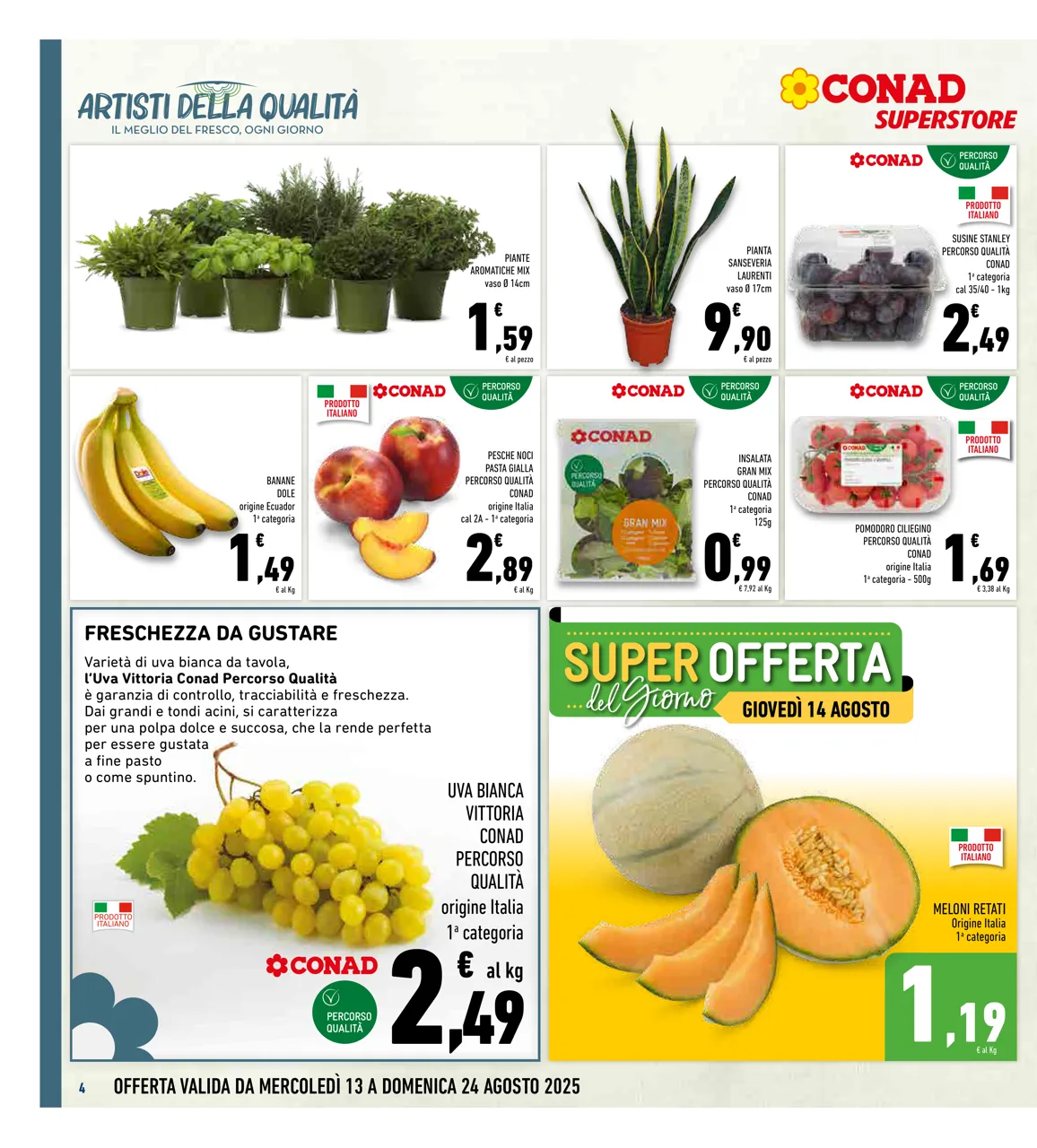 Pagina 4