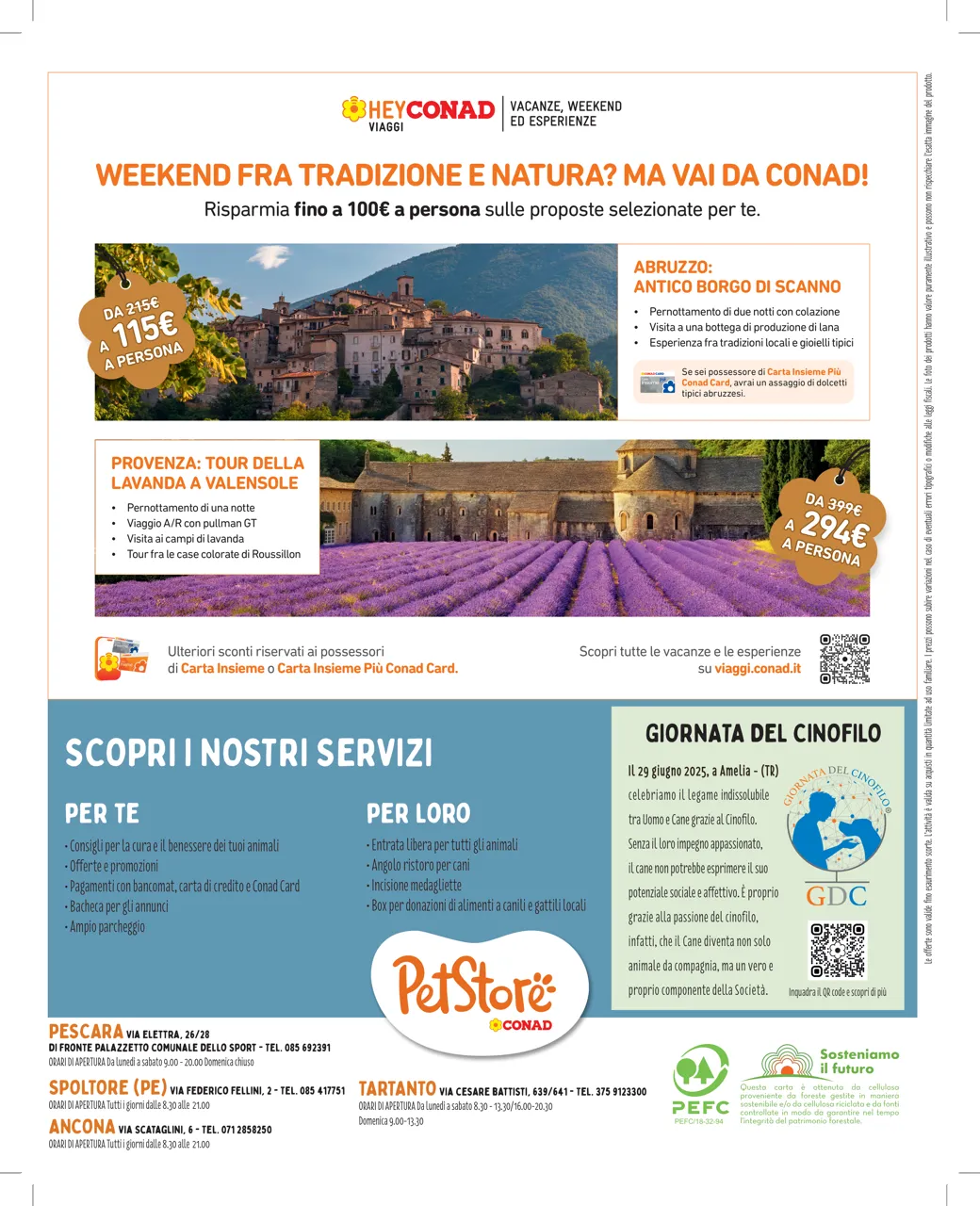 Pagina 8