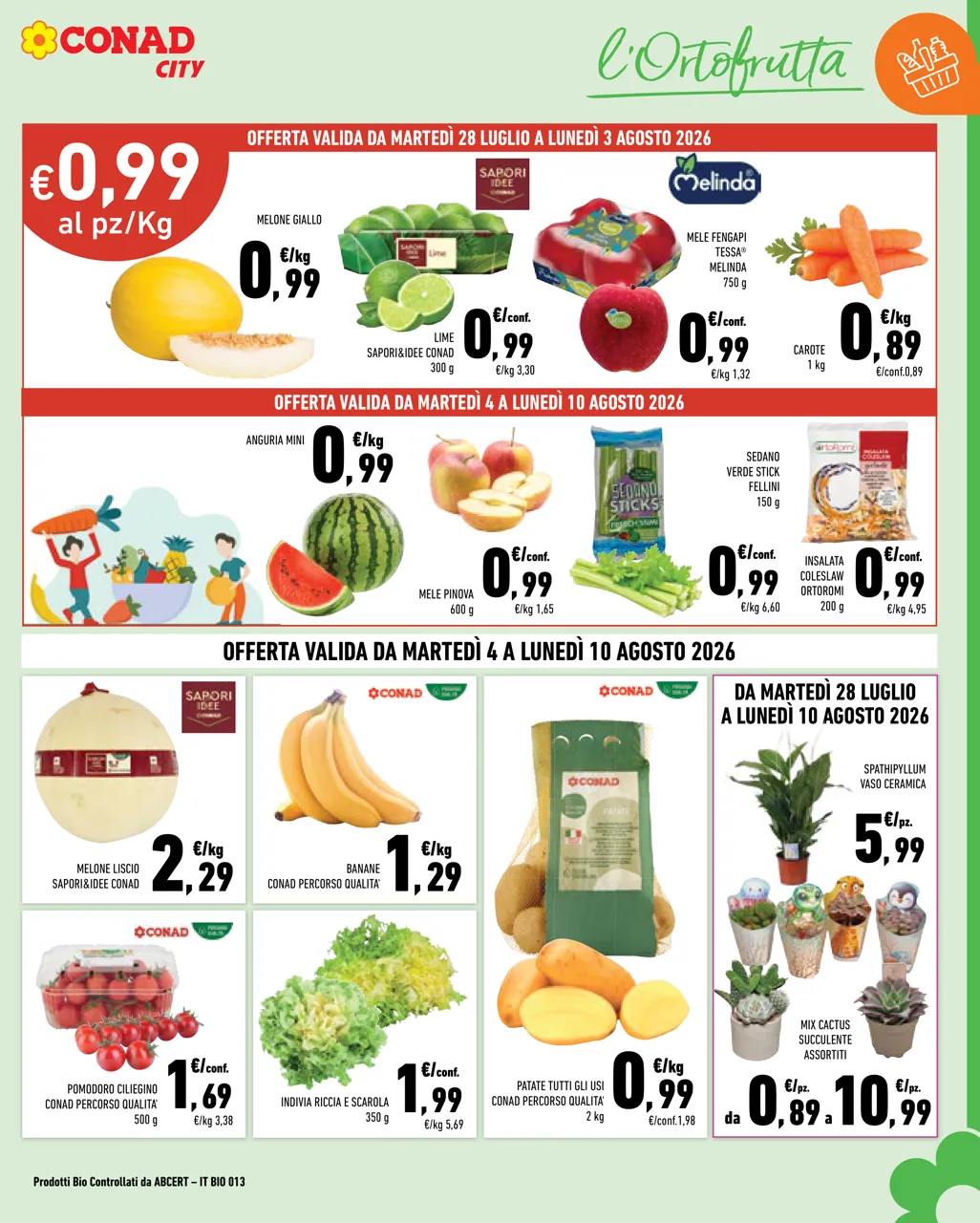 Pagina 3
