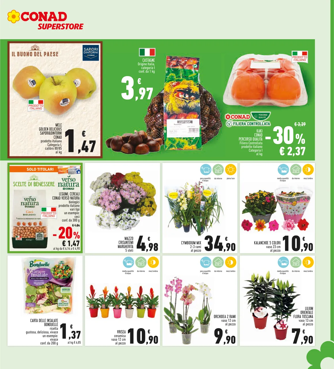 Pagina 7