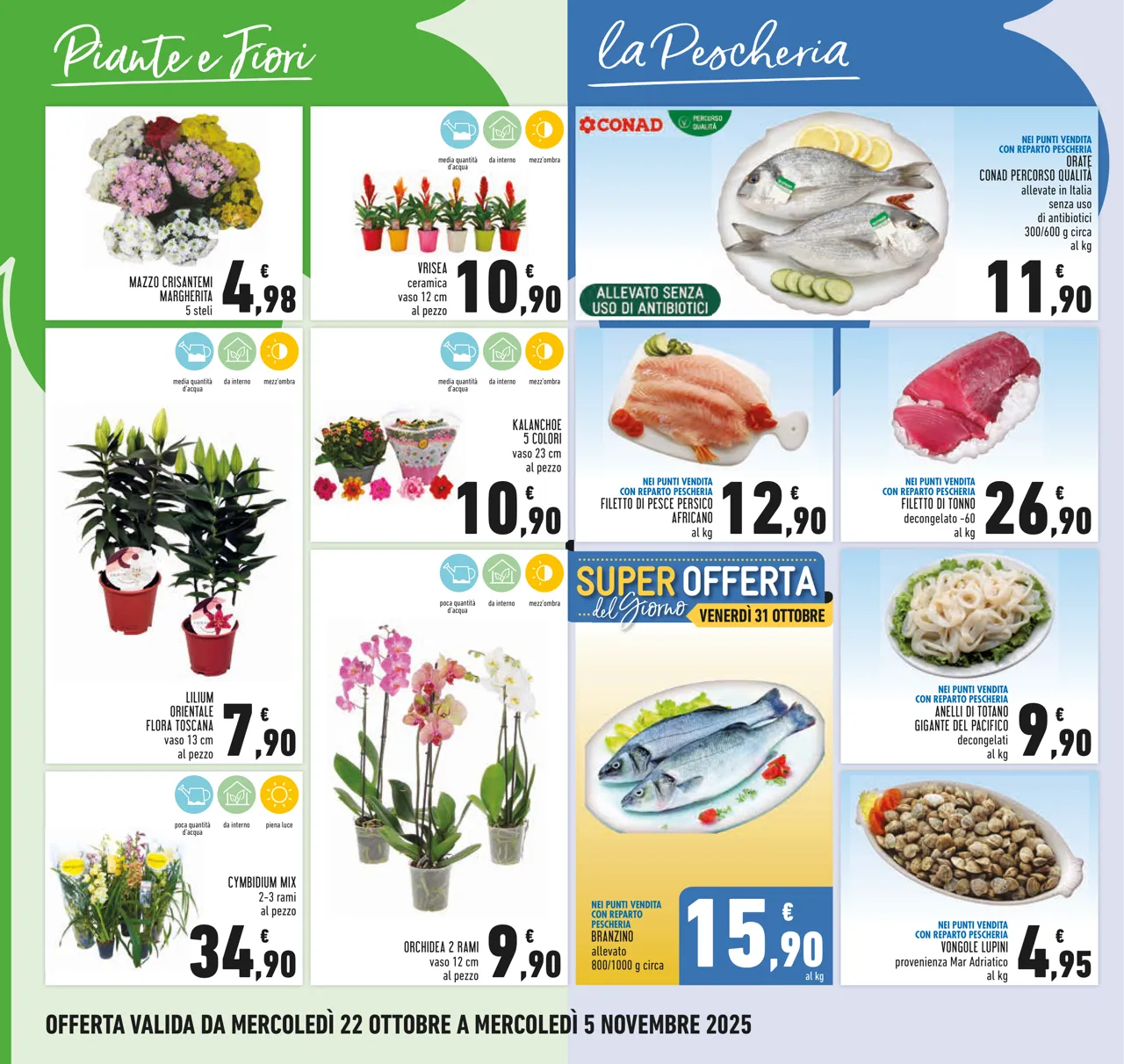 Pagina 6