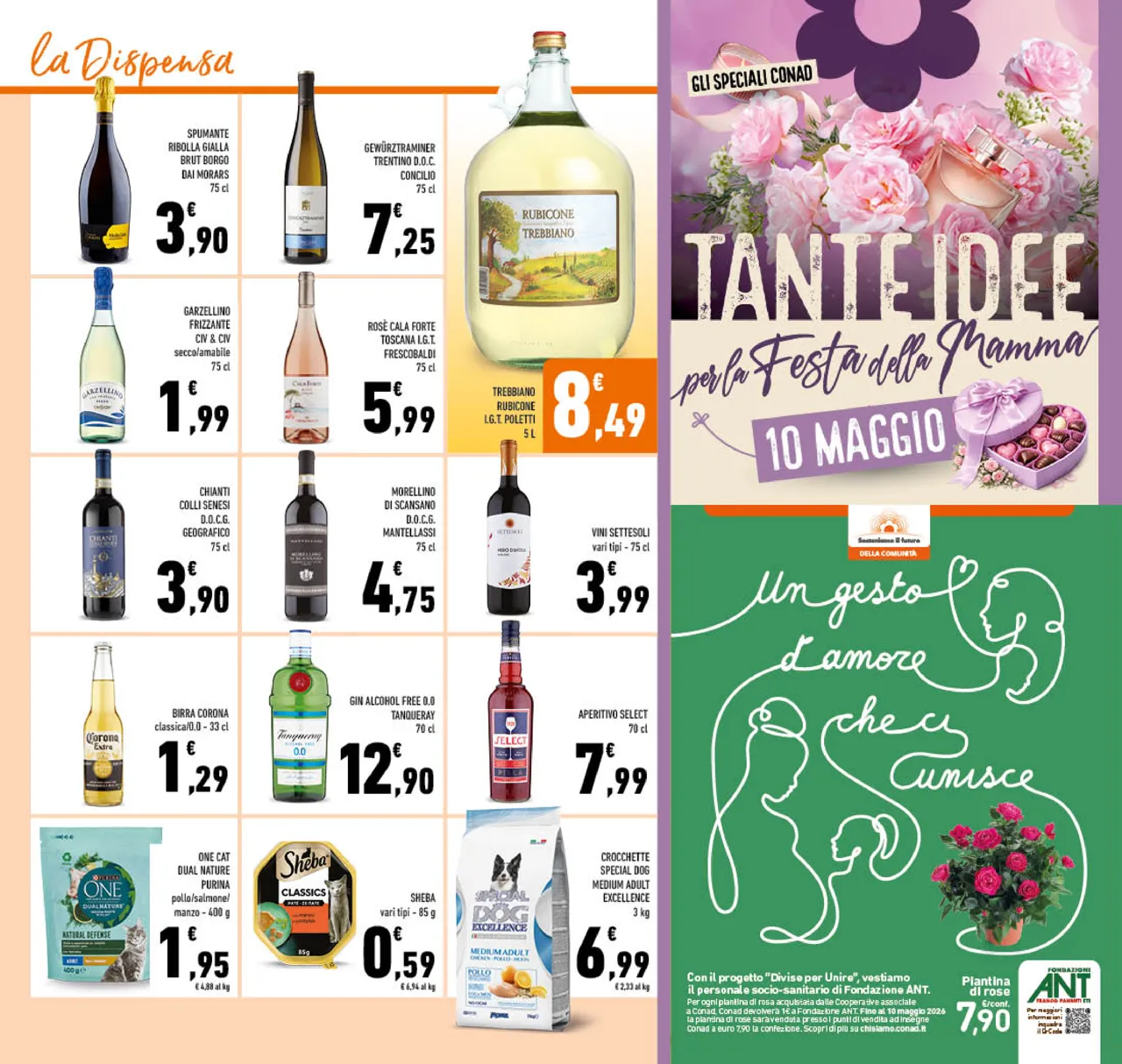 Pagina 19