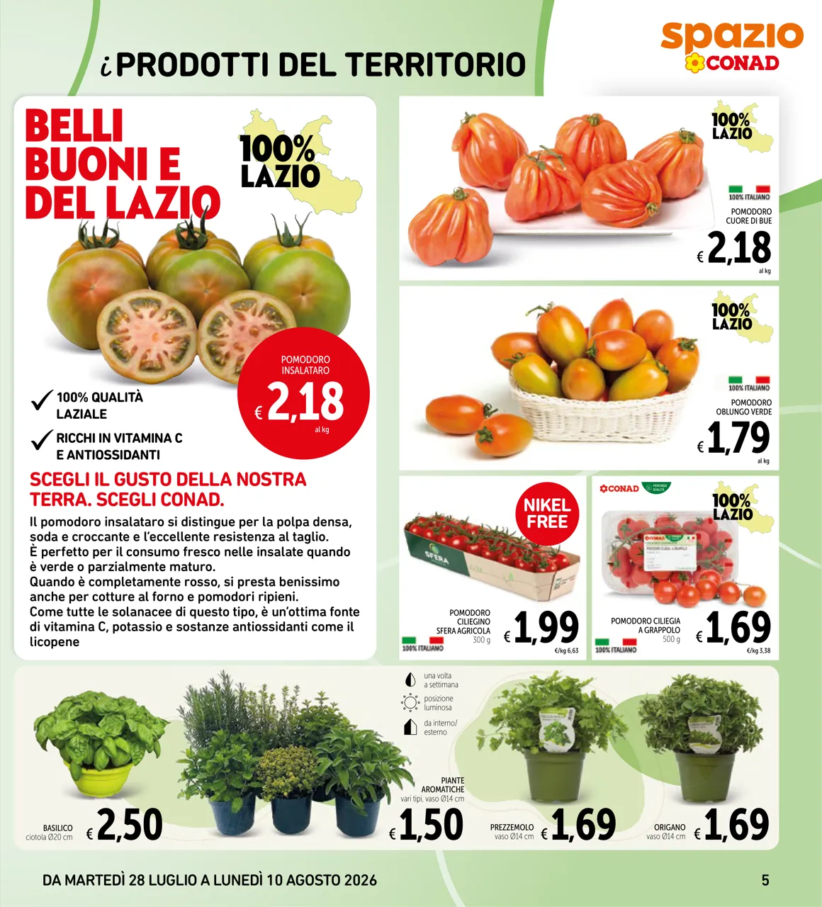 Pagina 5