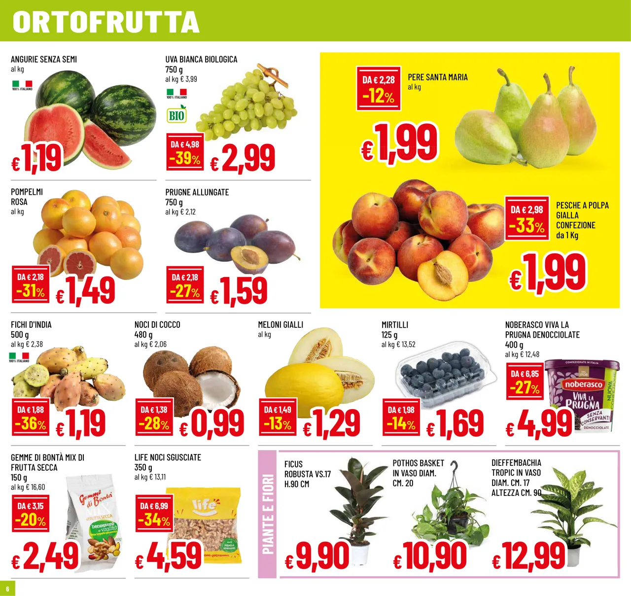 Pagina 6