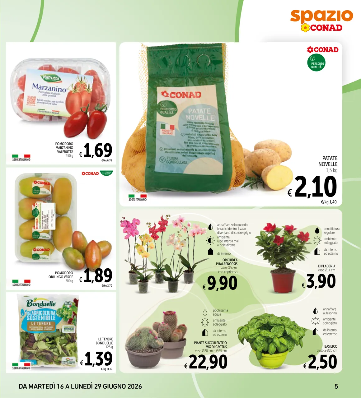 Pagina 5