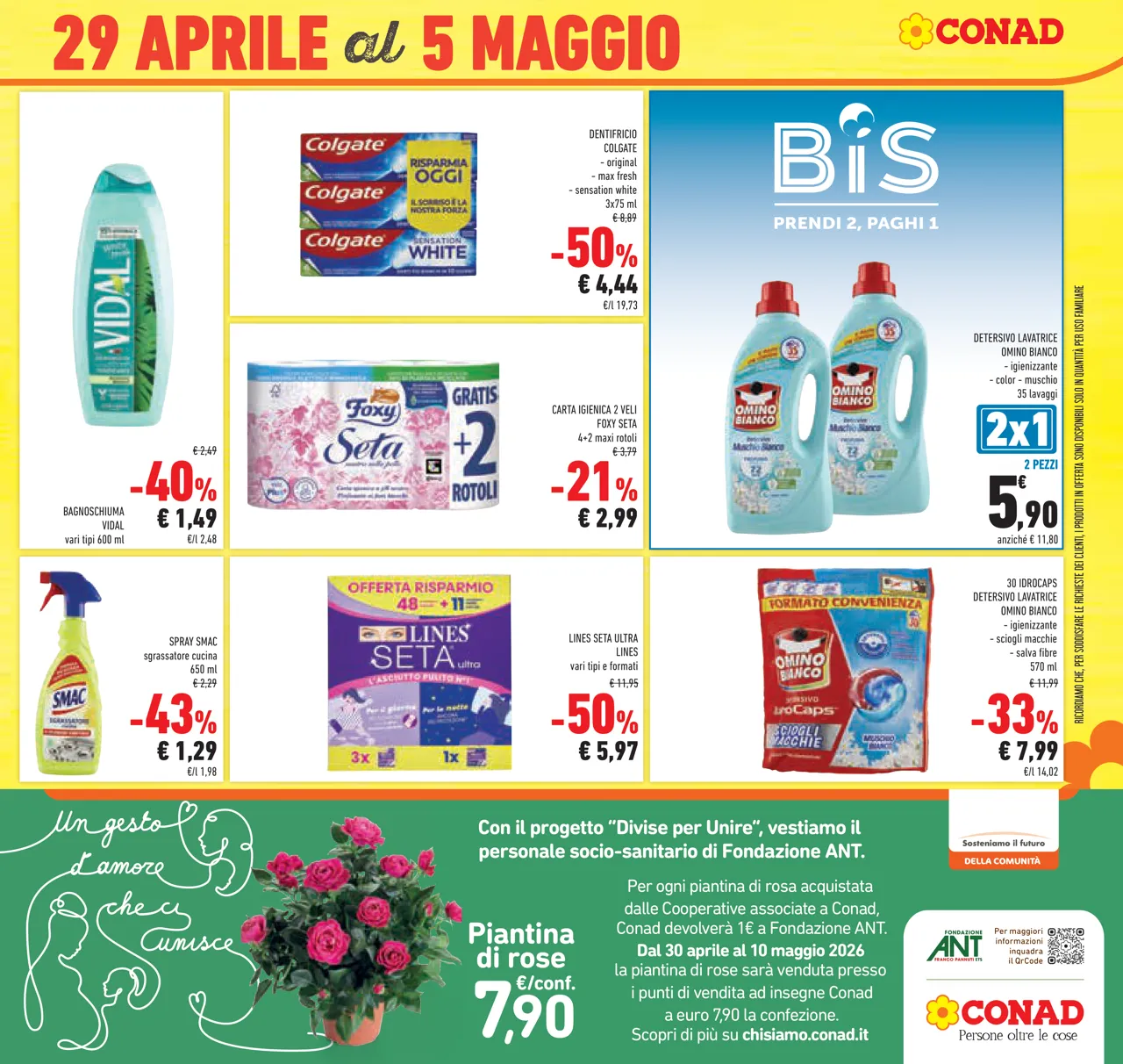 Pagina 41