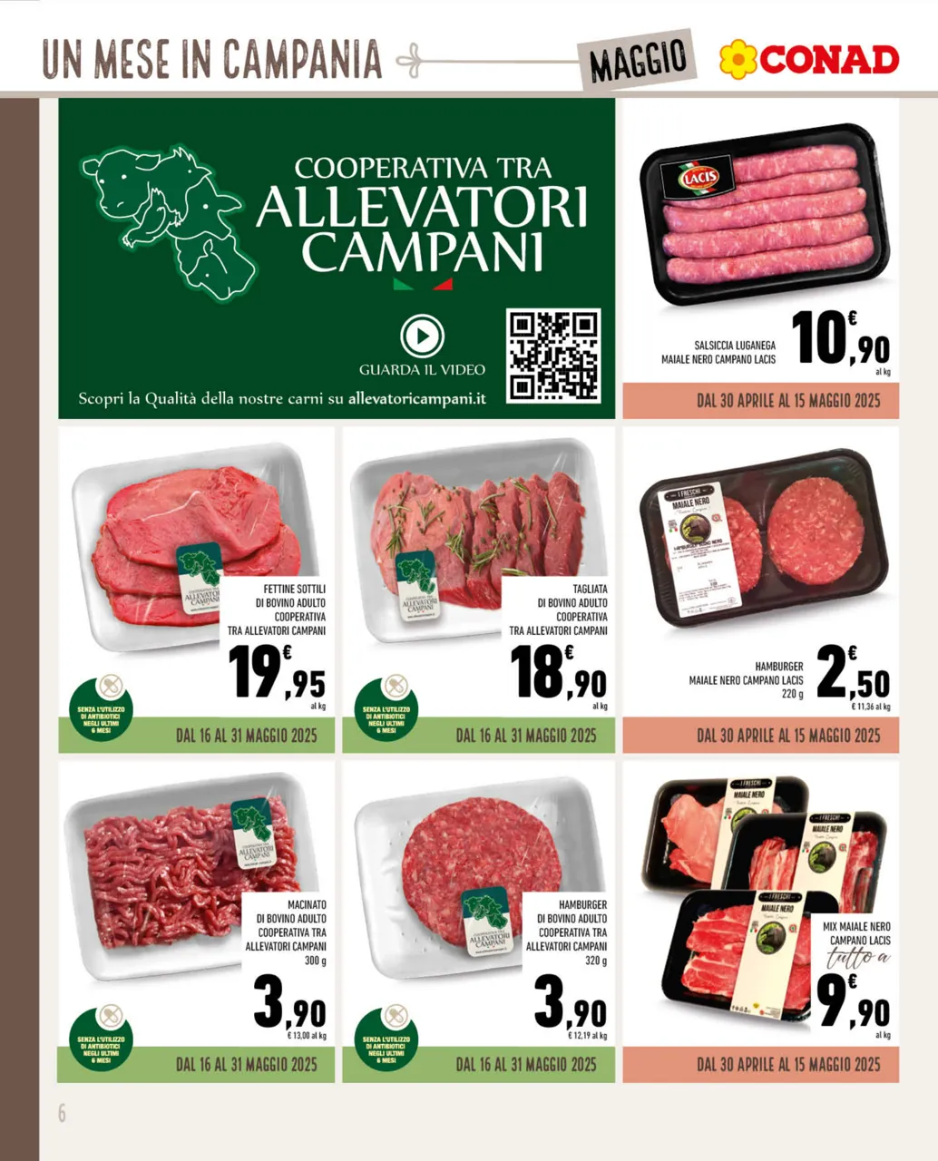 Pagina 6