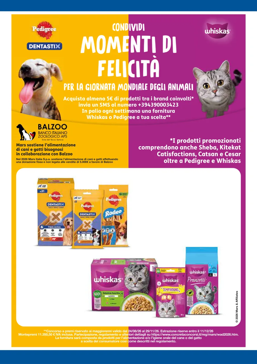 Pagina 6