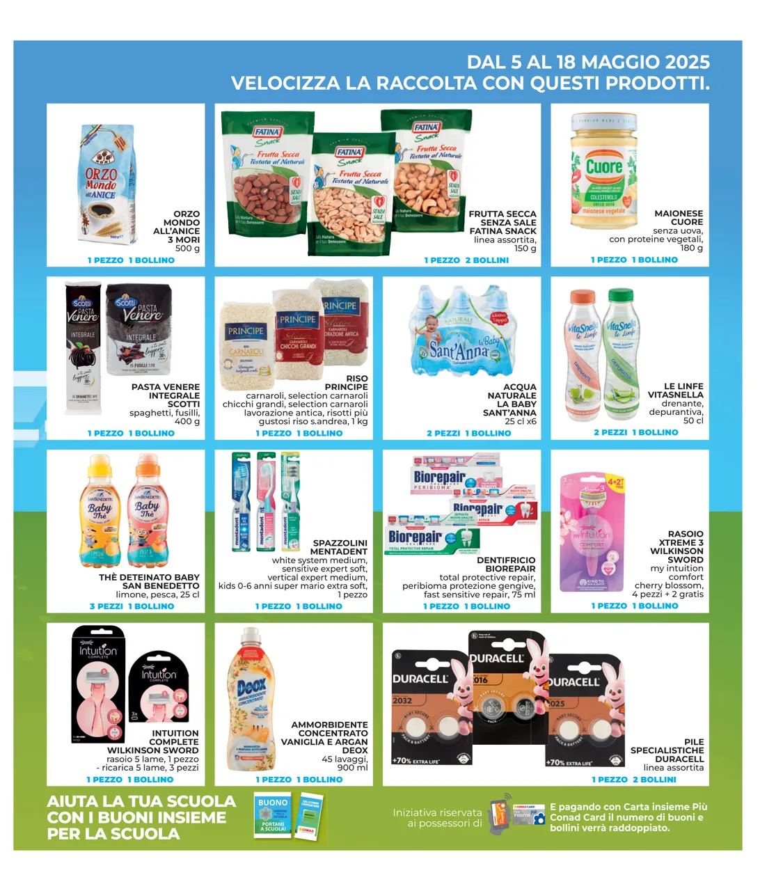 Pagina 31