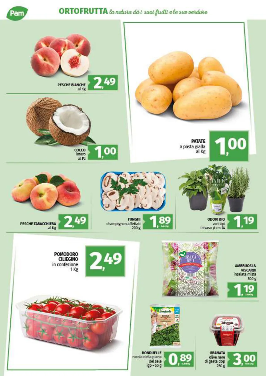 Pagina 10