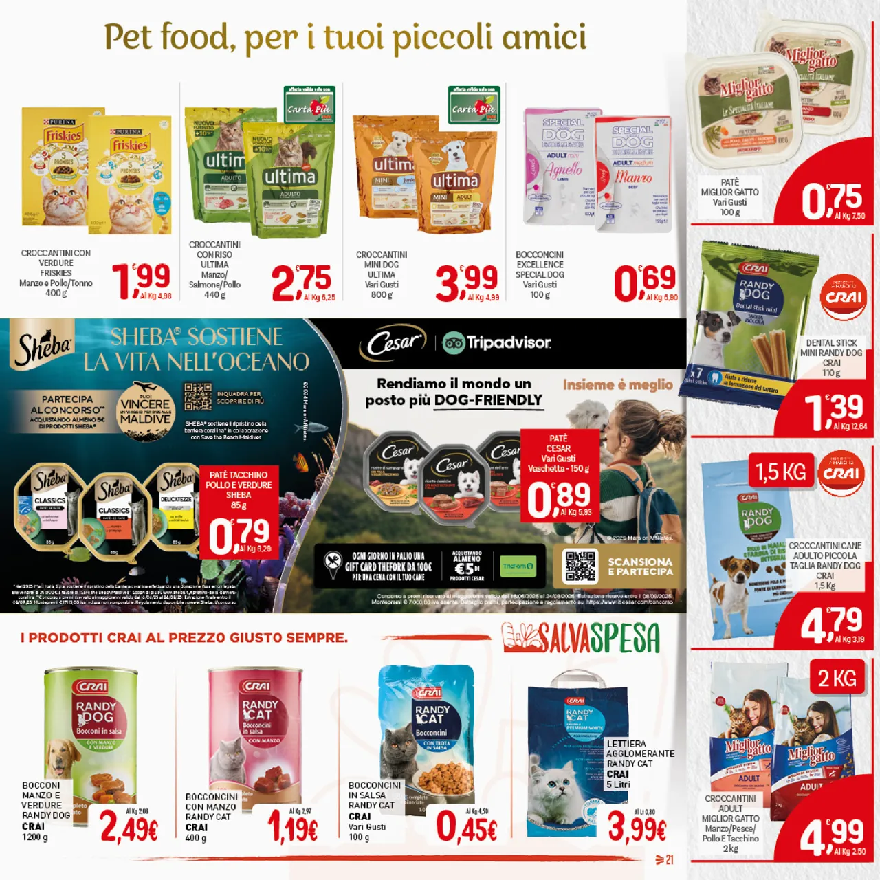 Pagina 21