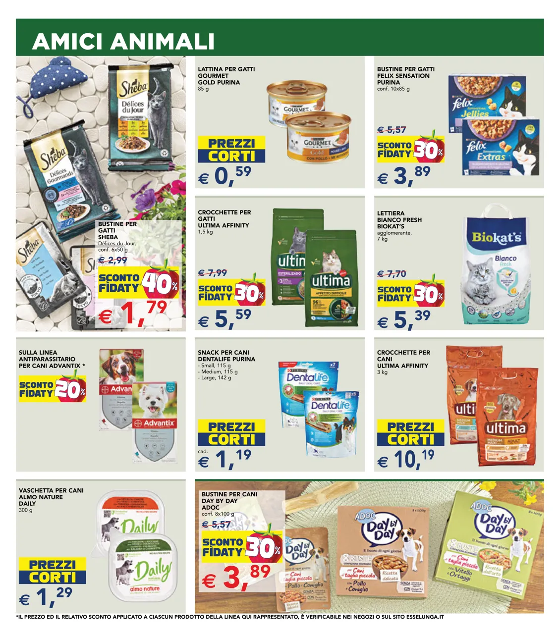 Pagina 15