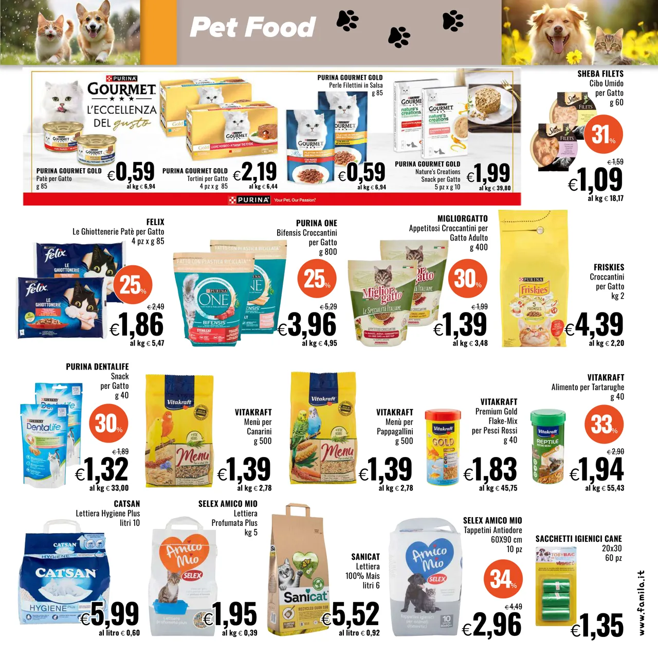 Pagina 21