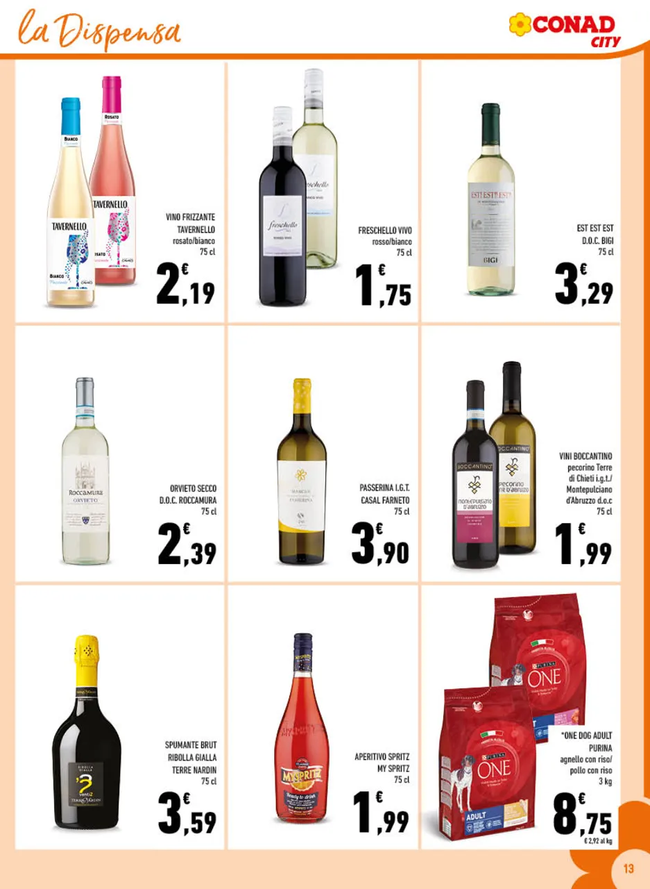 Pagina 13