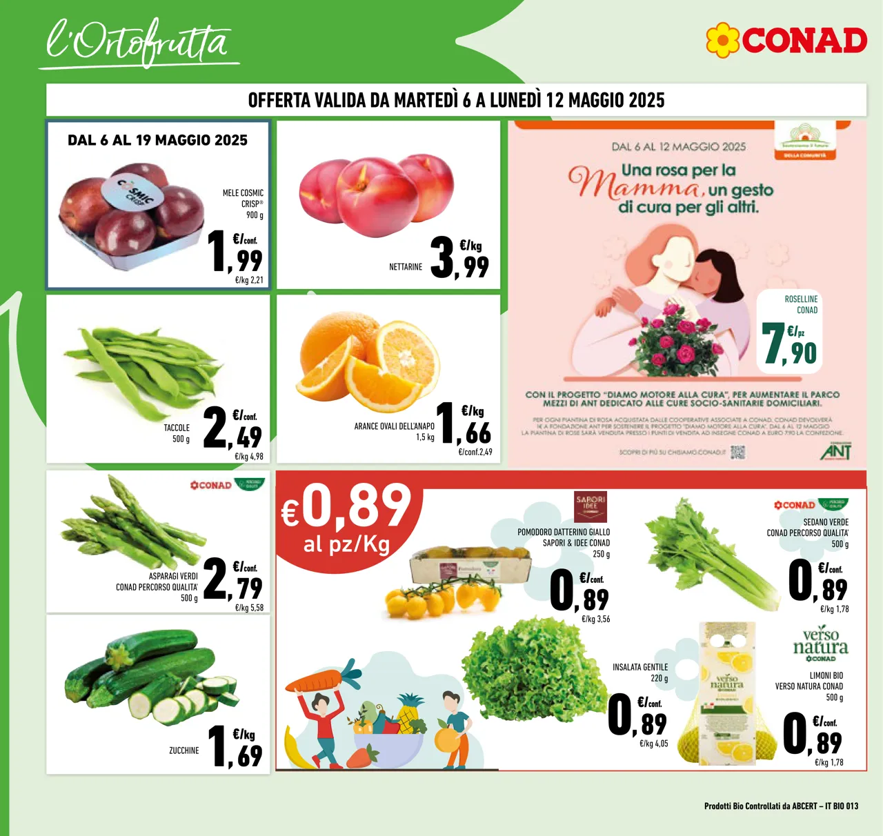 Pagina 6