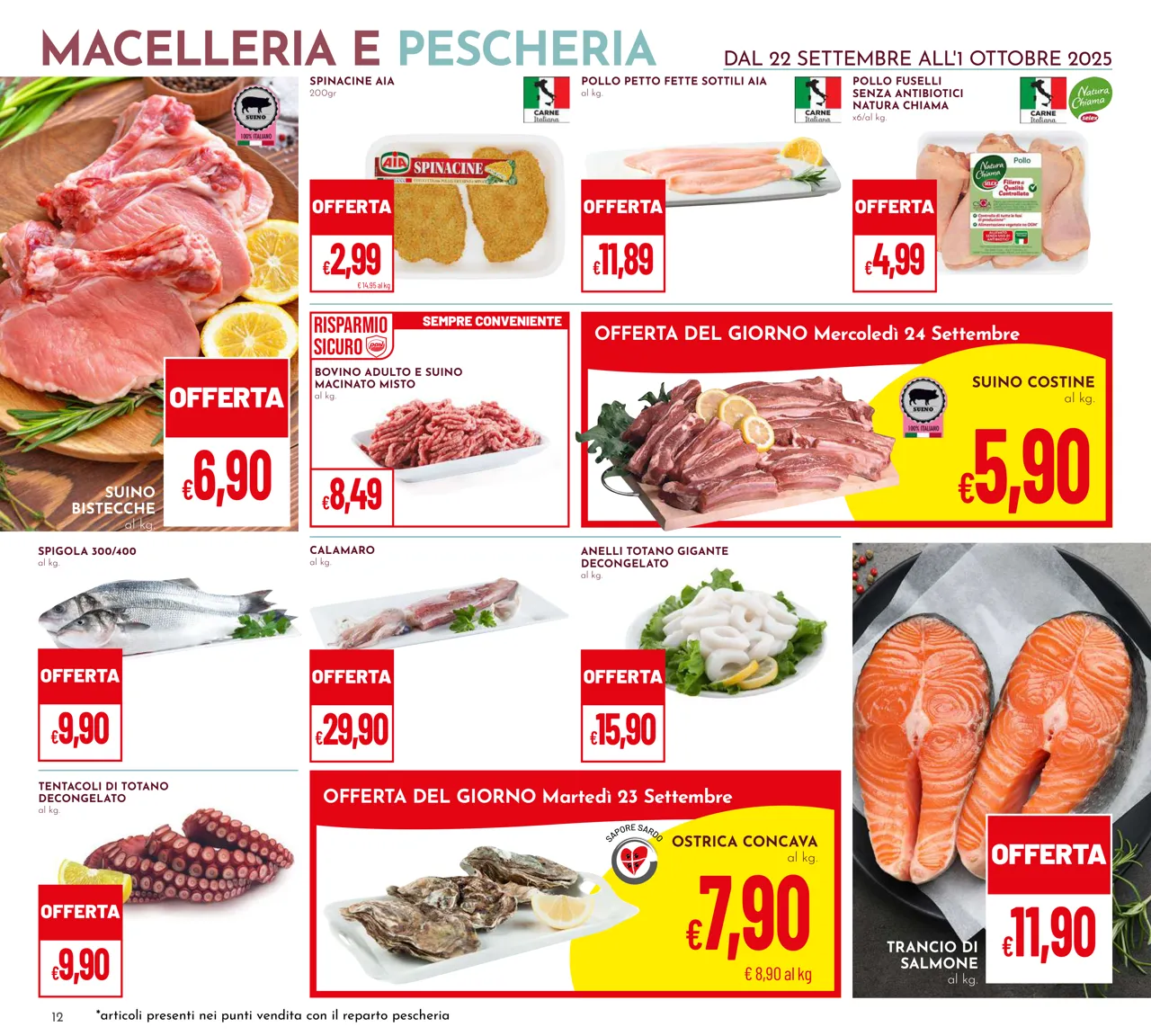 Pagina 12