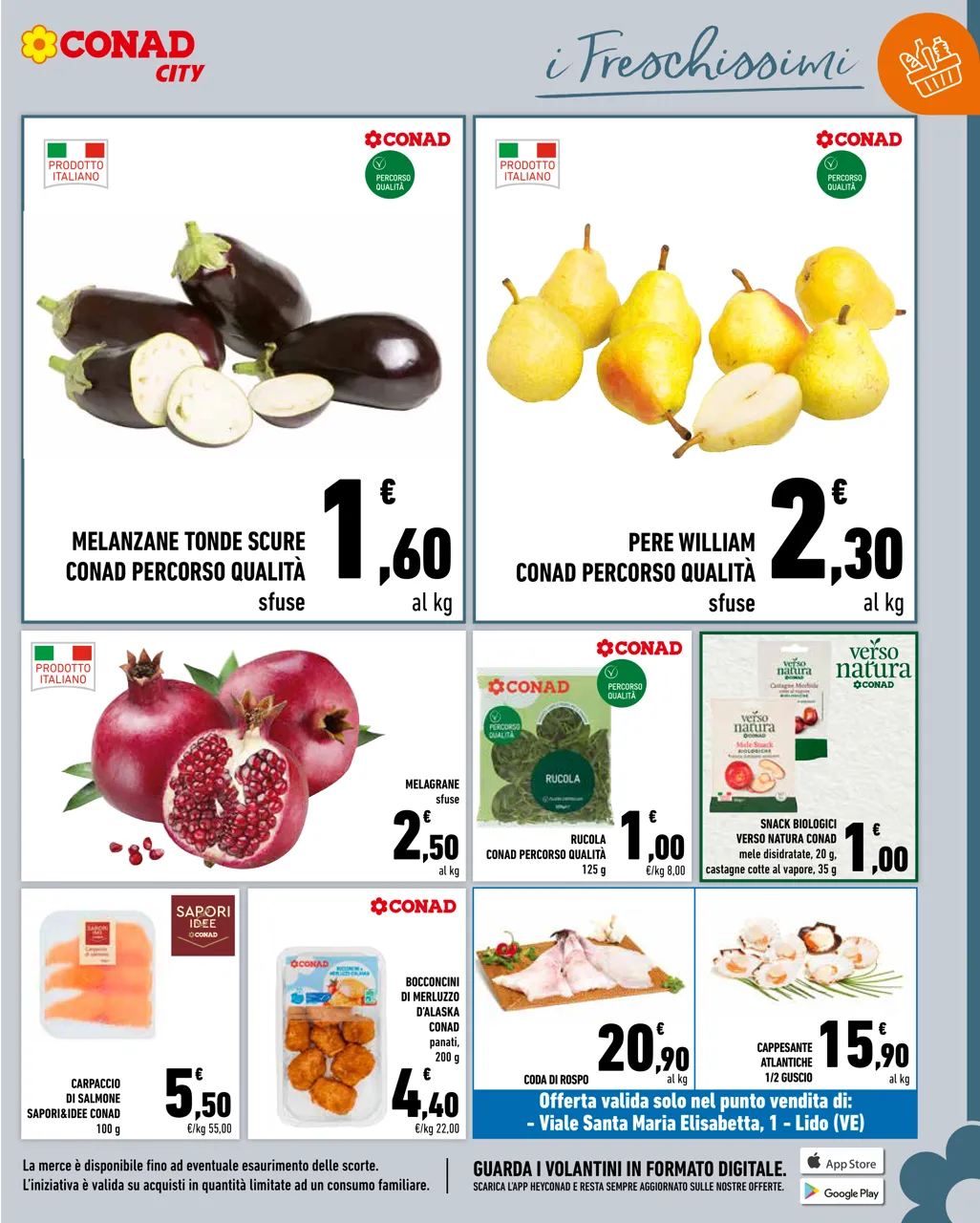 Pagina 7