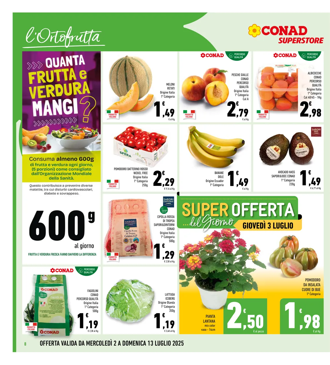 Pagina 8
