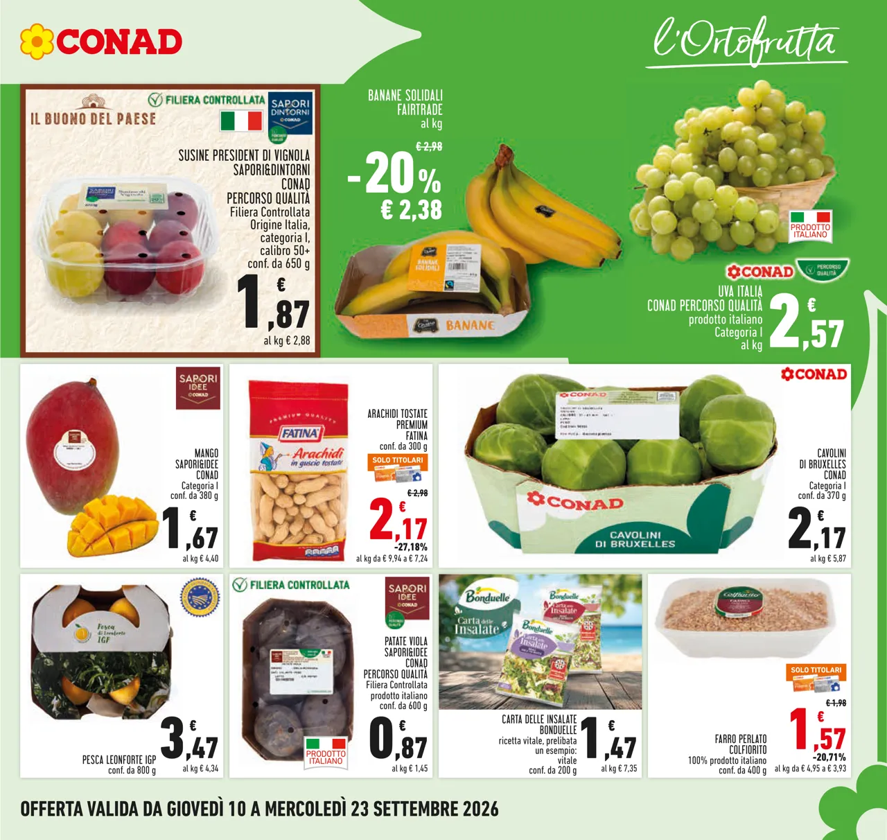 Pagina 5