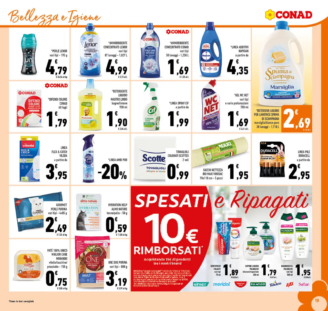 Pagina 19