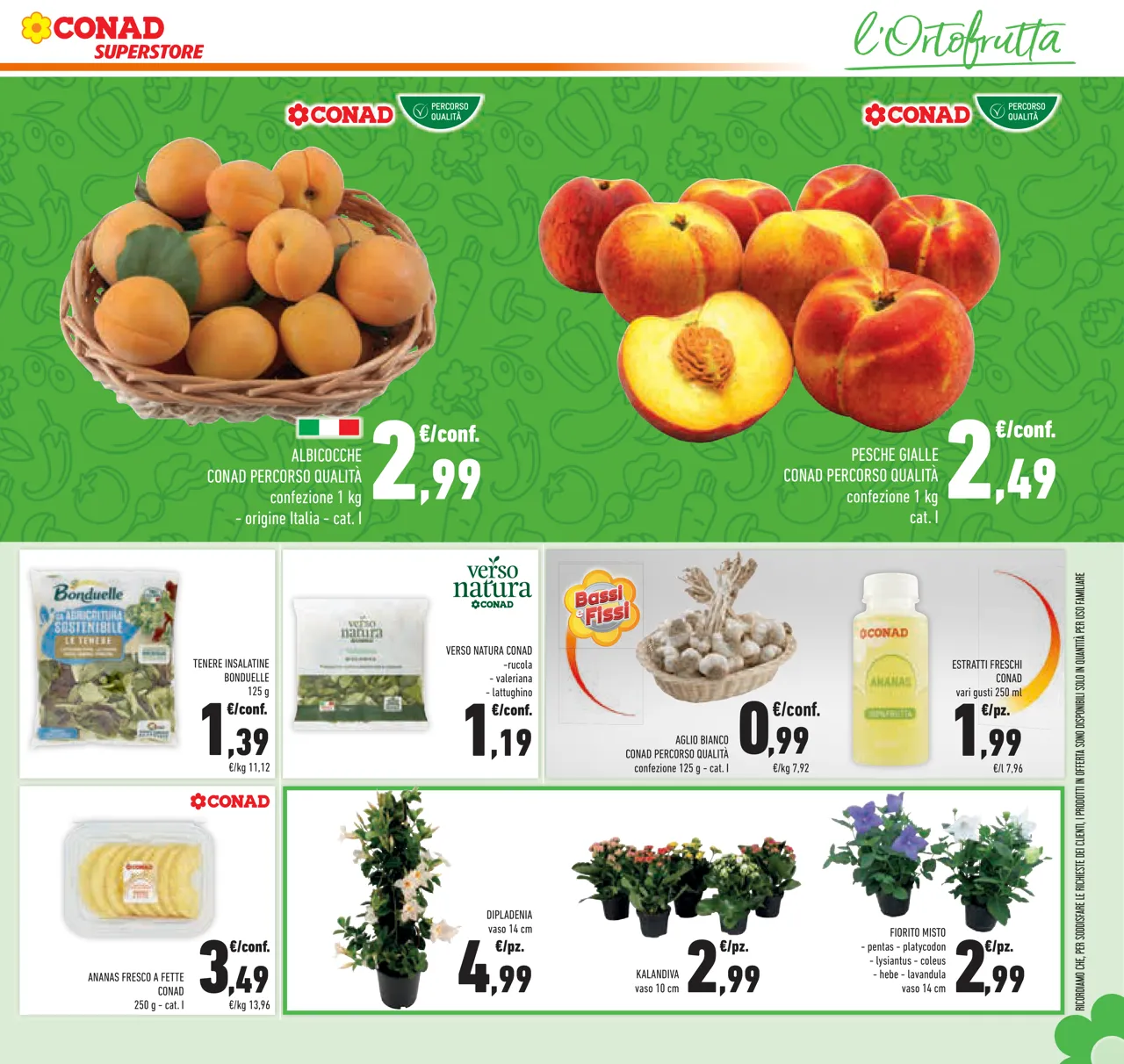 Pagina 29