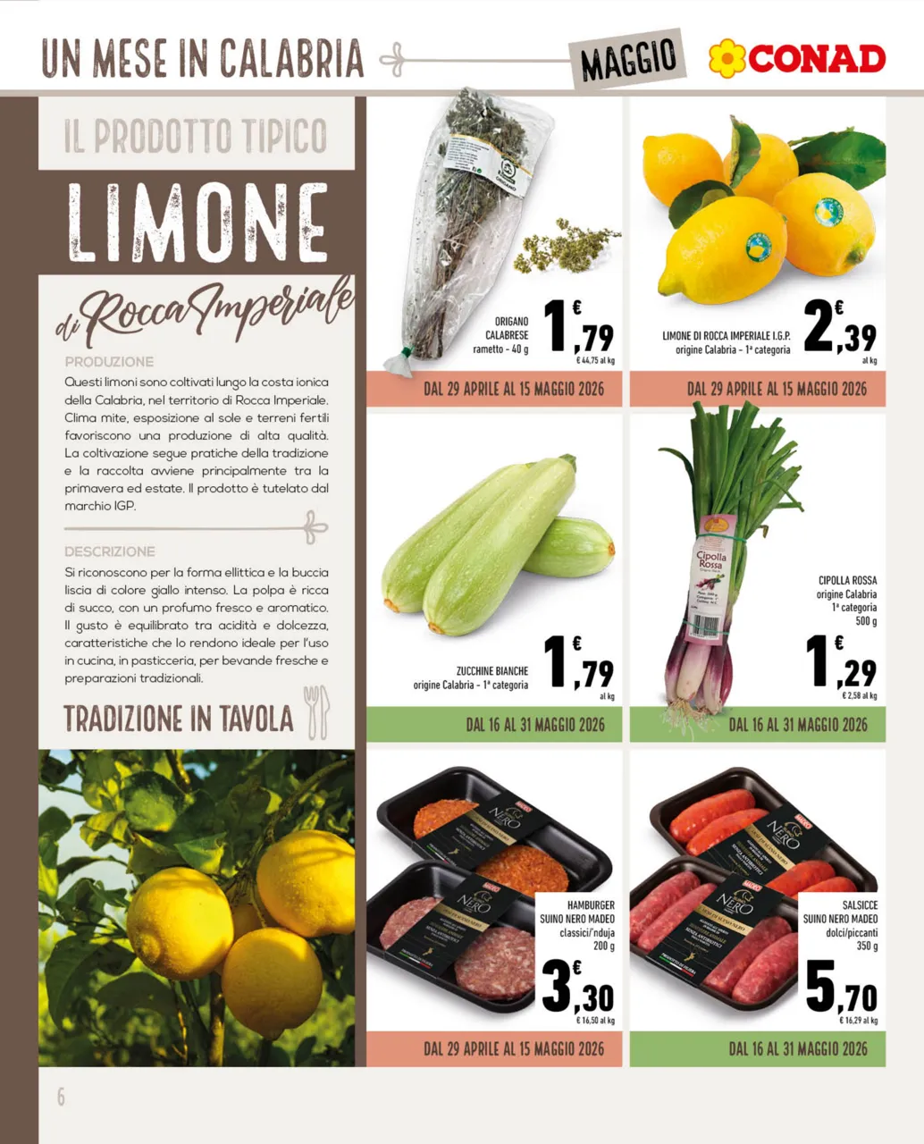 Pagina 6