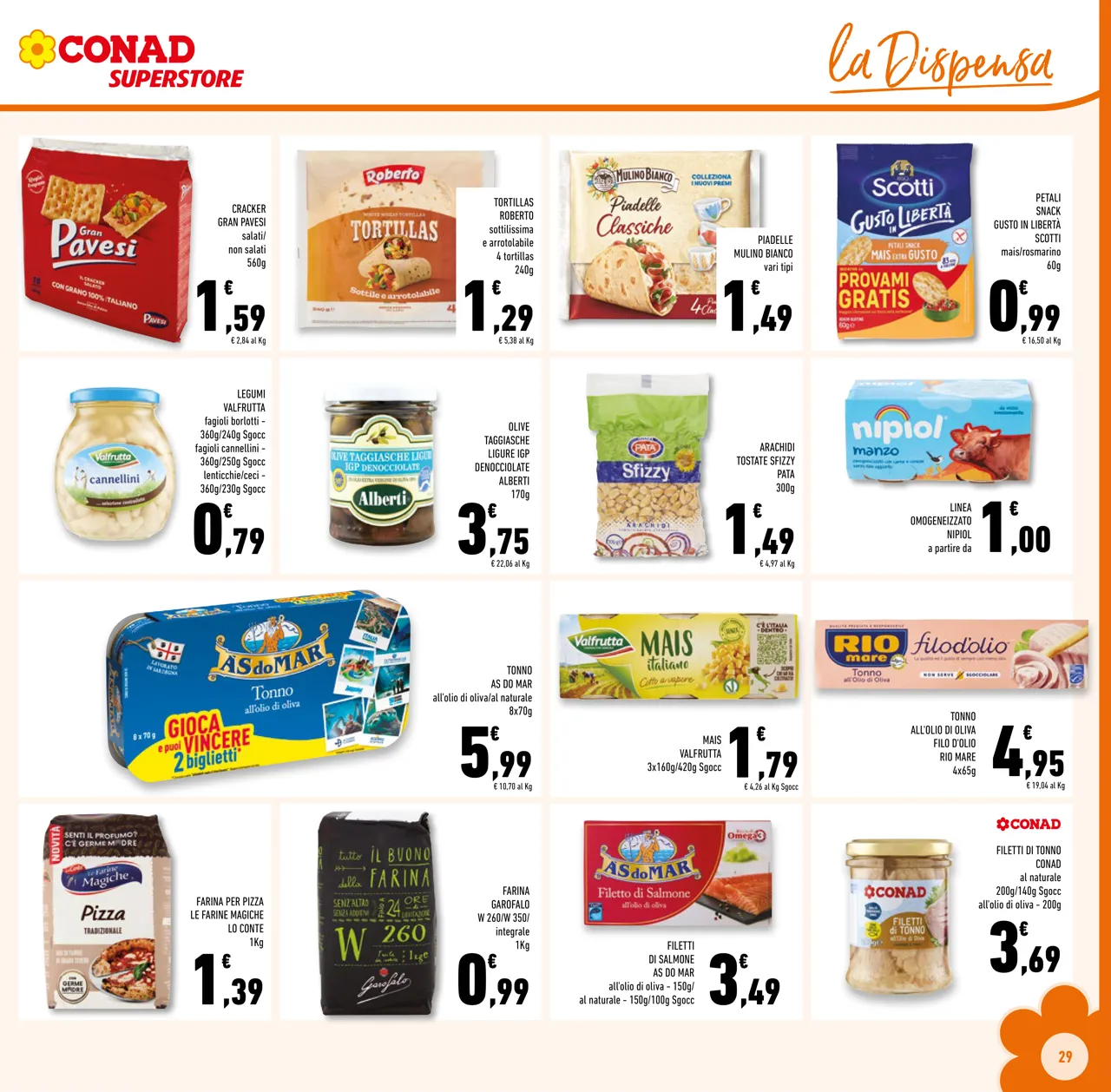 Pagina 29