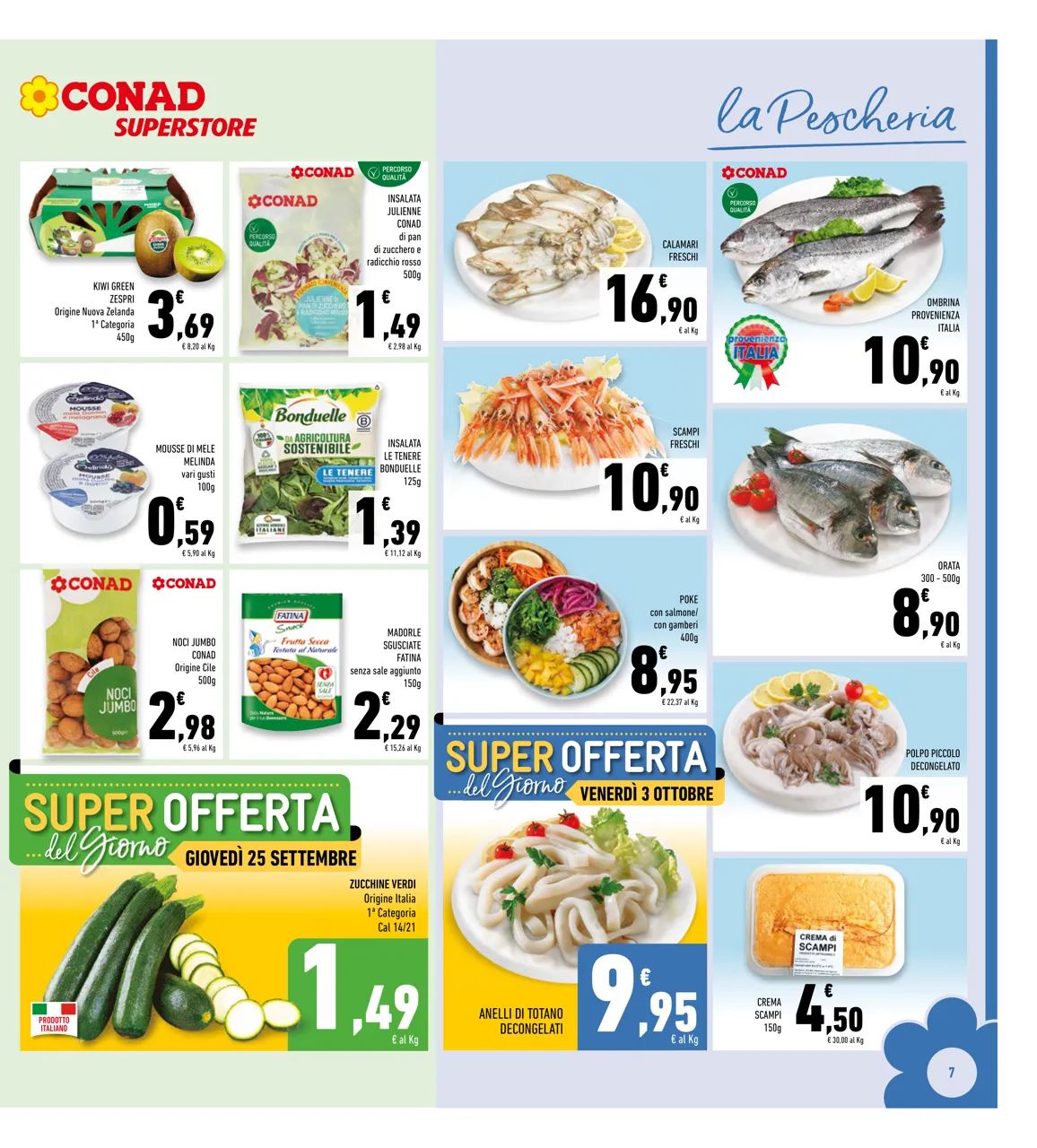Pagina 7