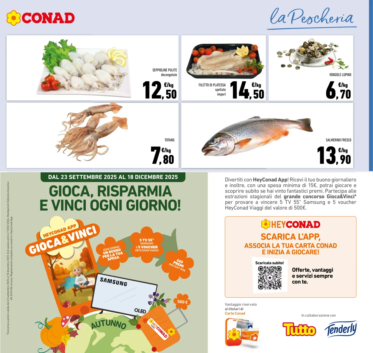 Pagina 7