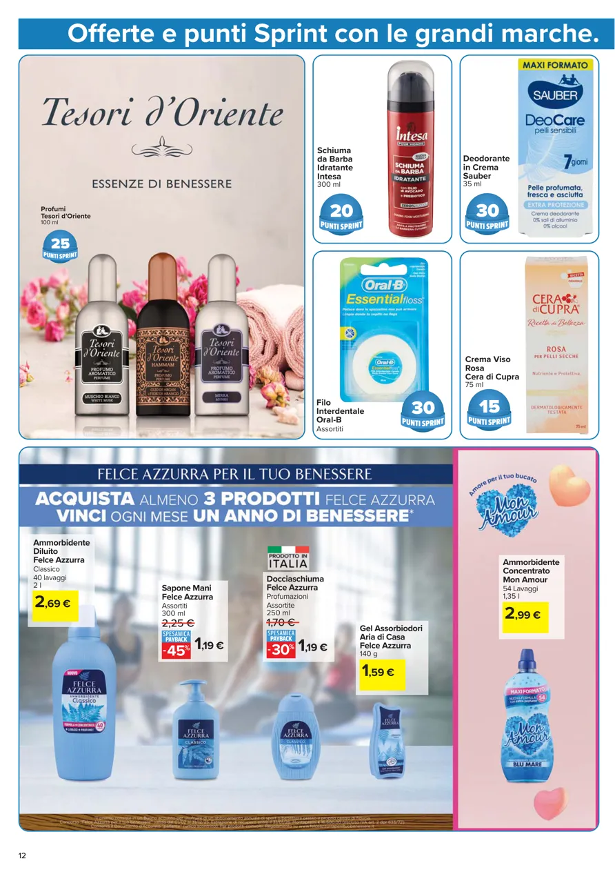 Pagina 12