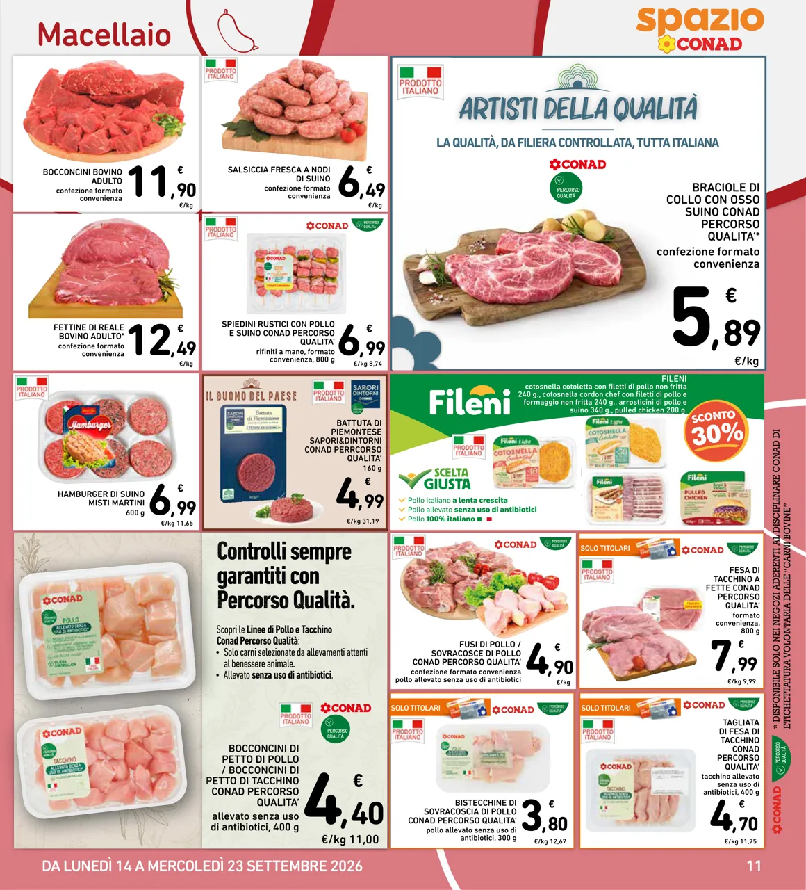 Pagina 11