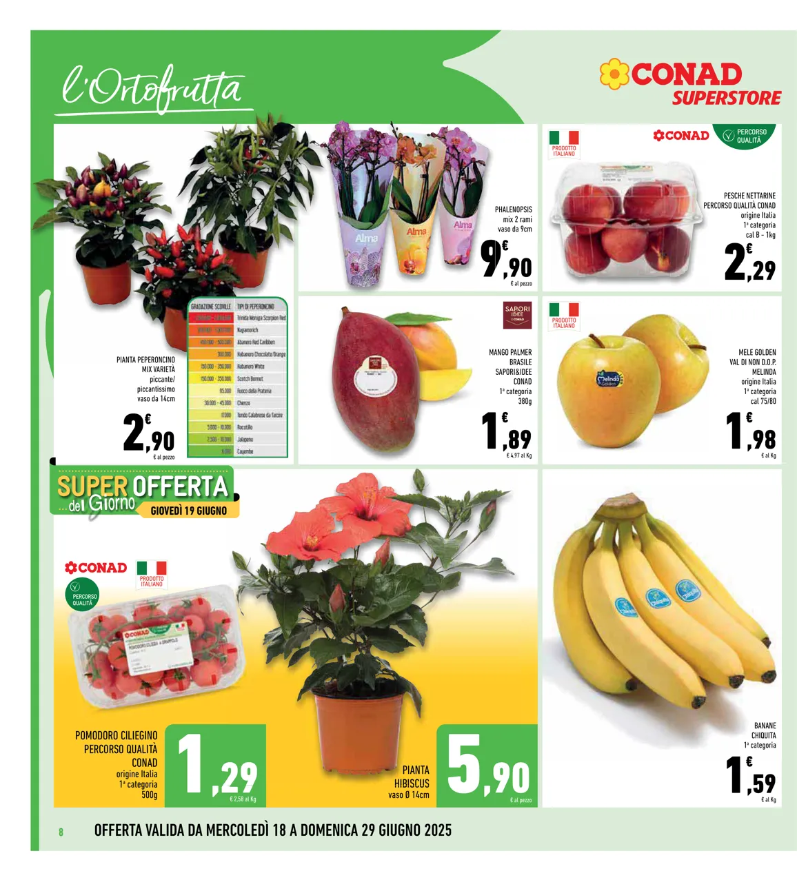 Pagina 8