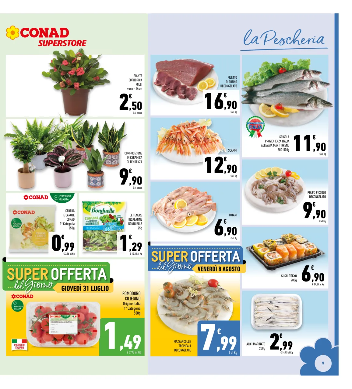 Pagina 9