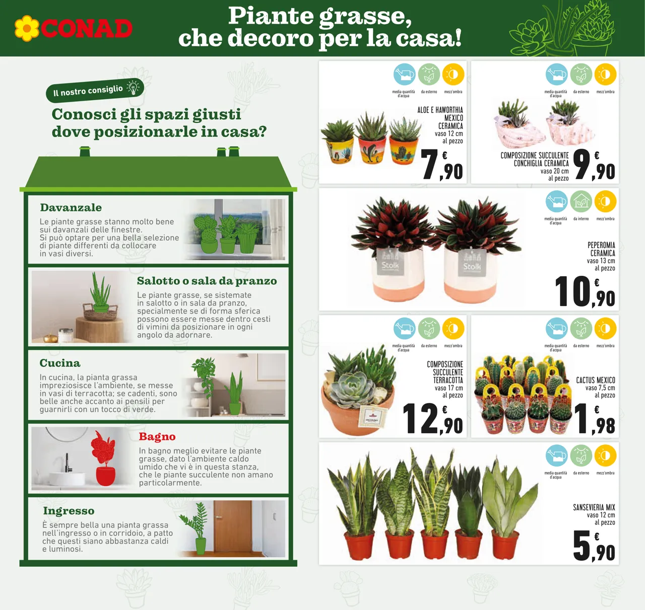 Pagina 19
